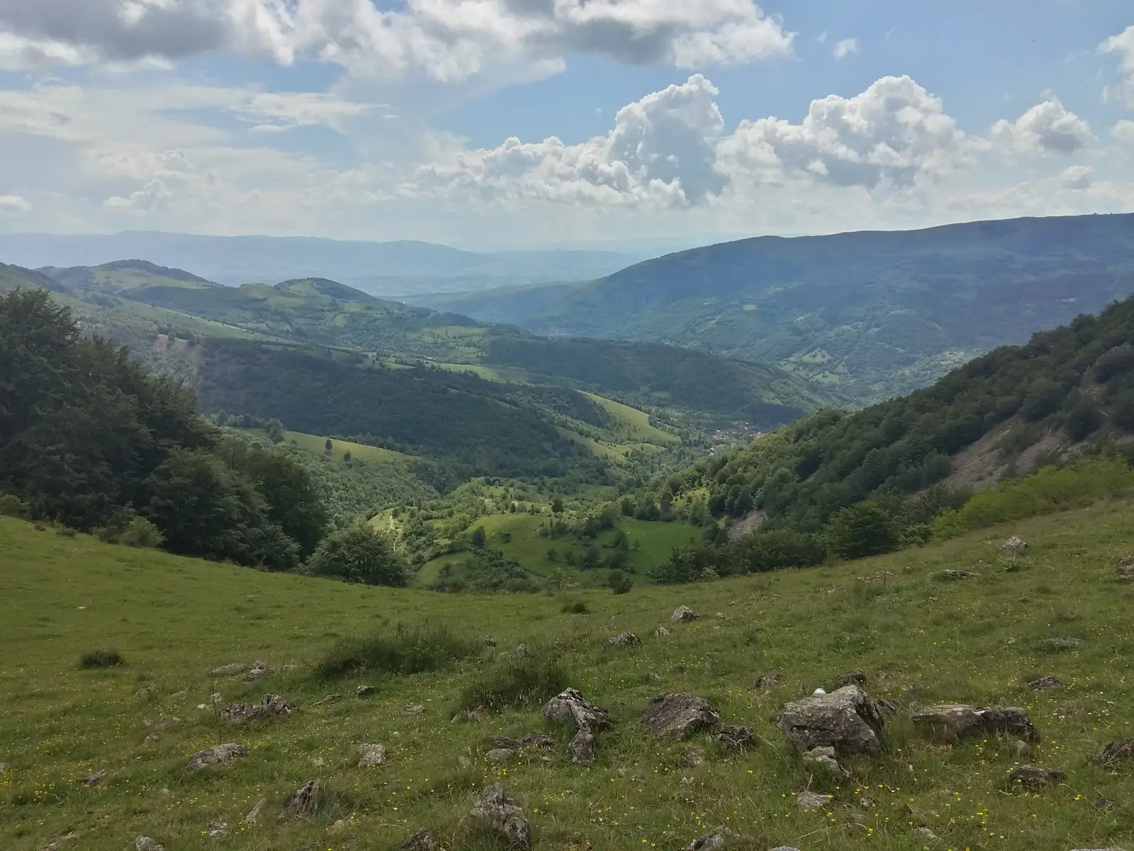 Podul Ţăsnei - Prisăcina - Podul Ţăsnei