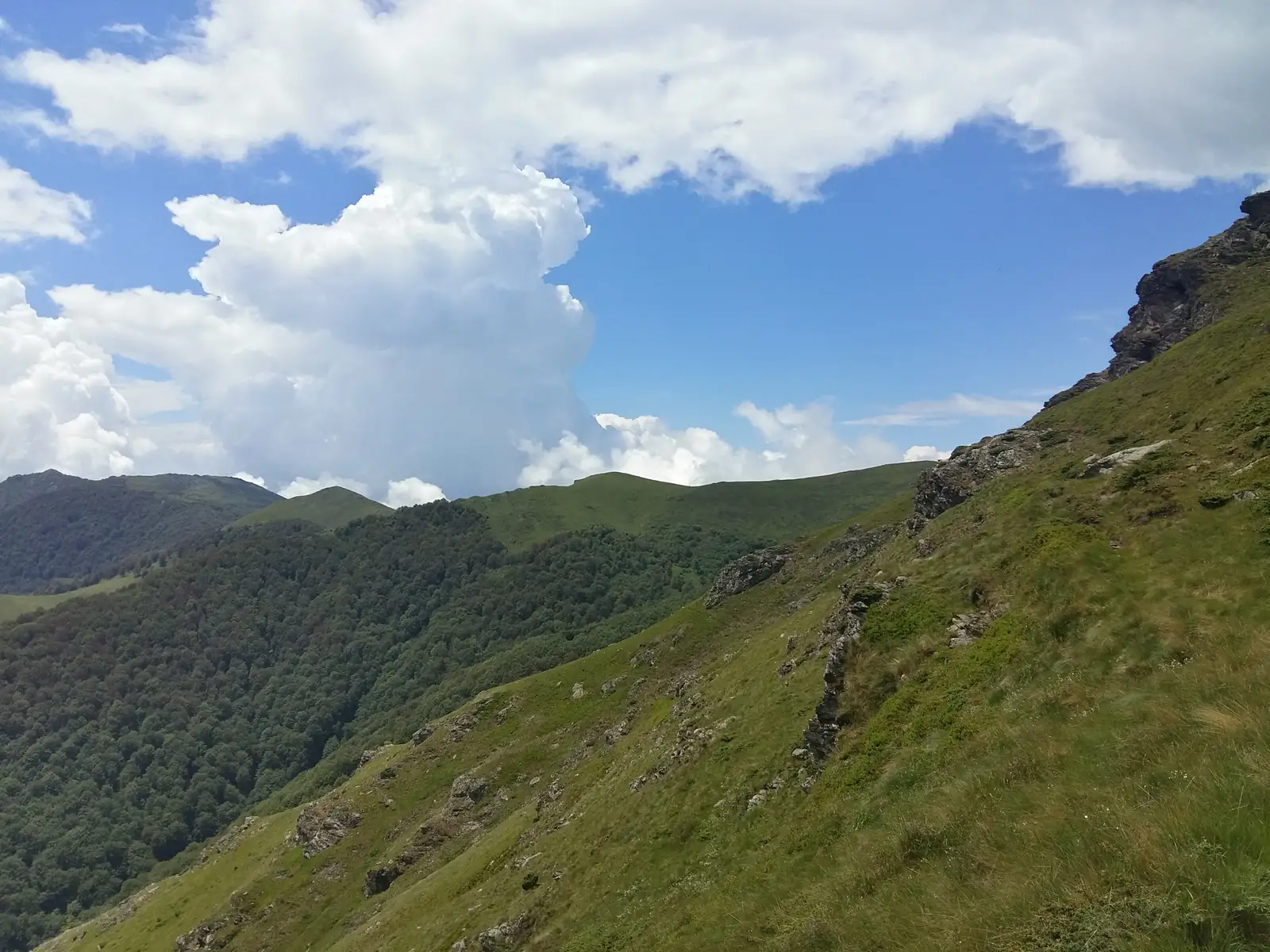 Podul Ţăsnei - Motel Dumbravă (Km 18 DN67D)