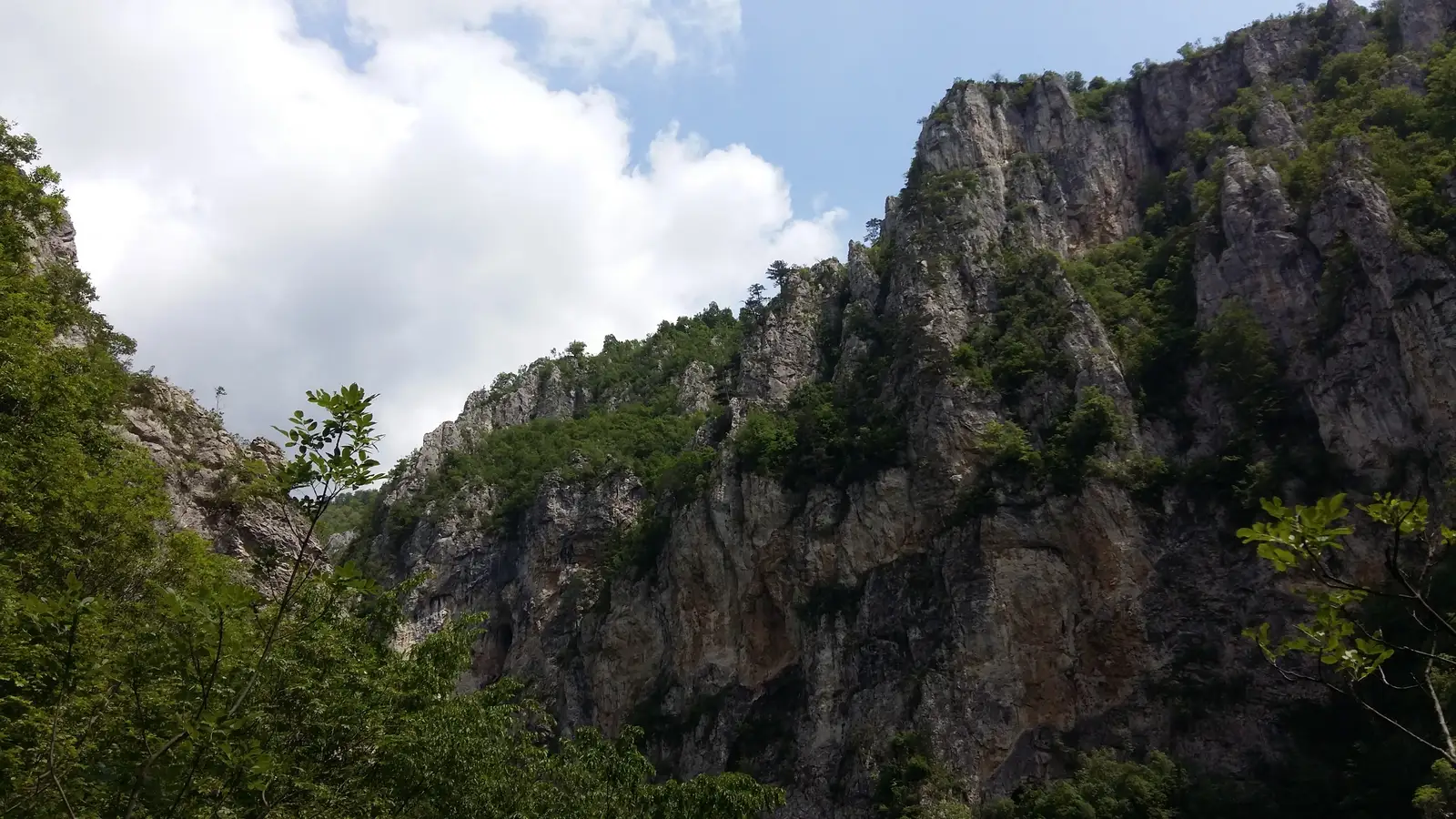 Podul Ţăsnei - Șaua Prislop