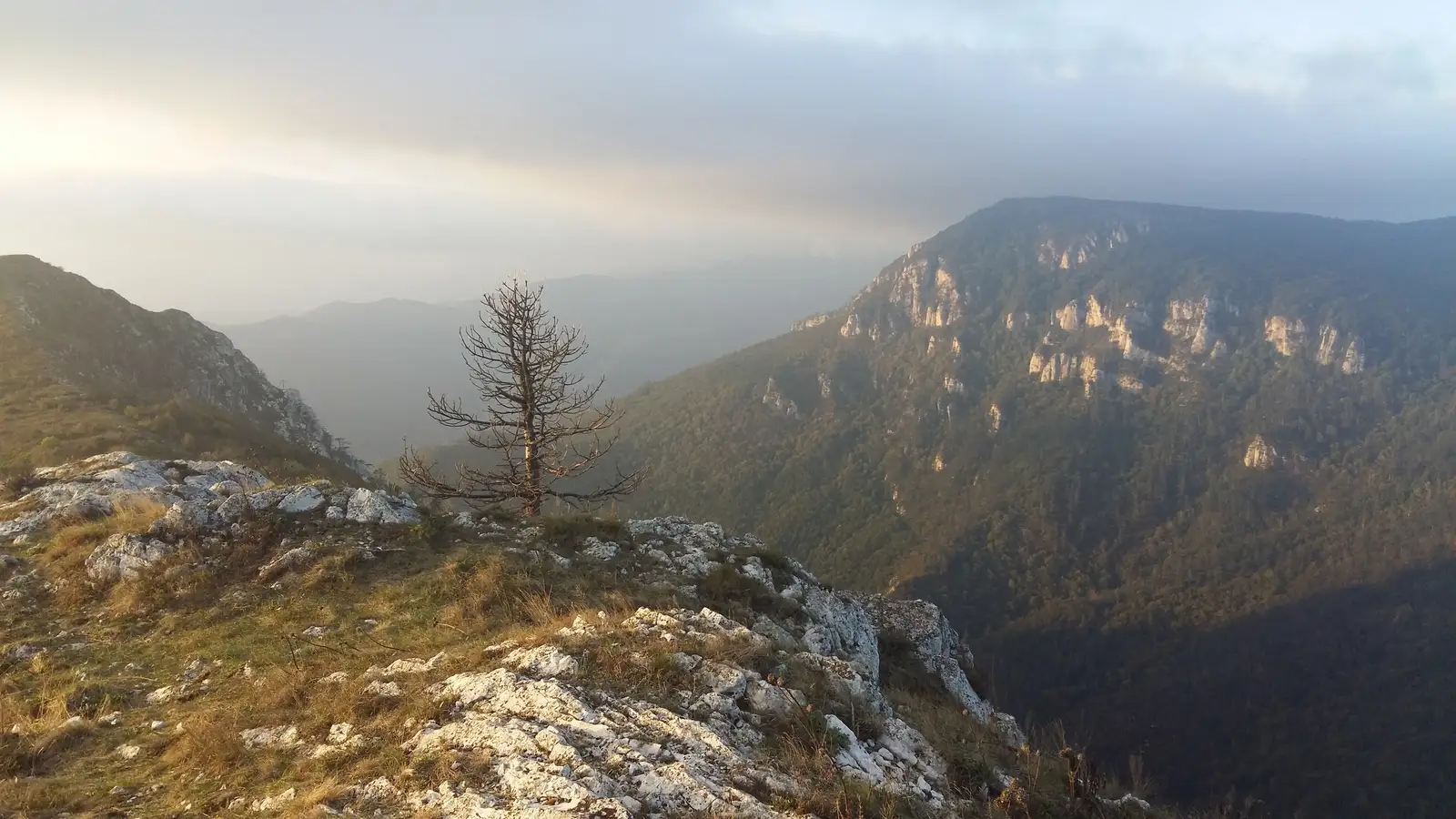 Băile Herculane (DN67D) - Vârful Domogledul Mare (1105 m)
