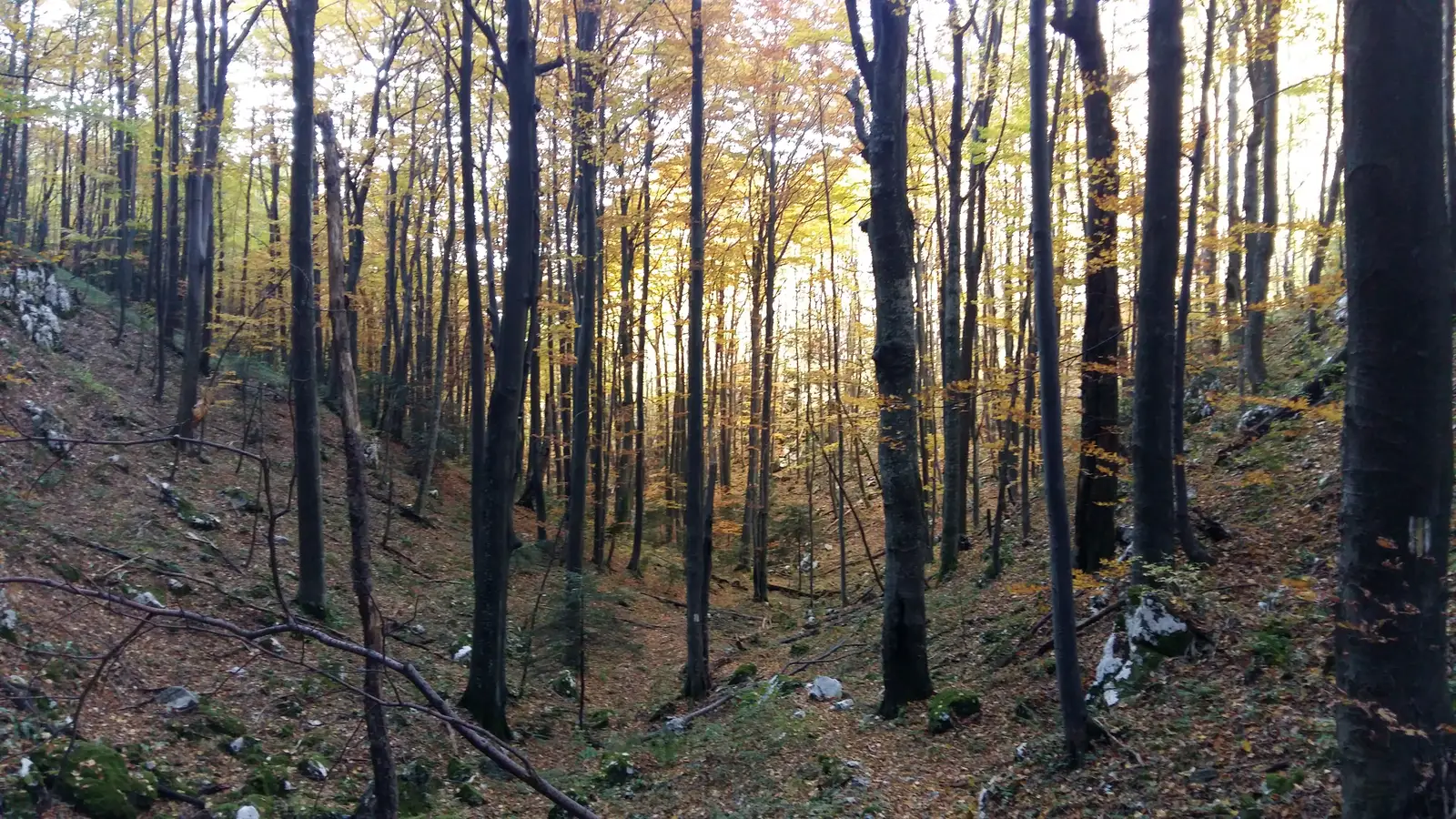 Băile Herculane (DN67D) în dreptul Hidrocentralei - Creasta Munţilor Mehedinţi