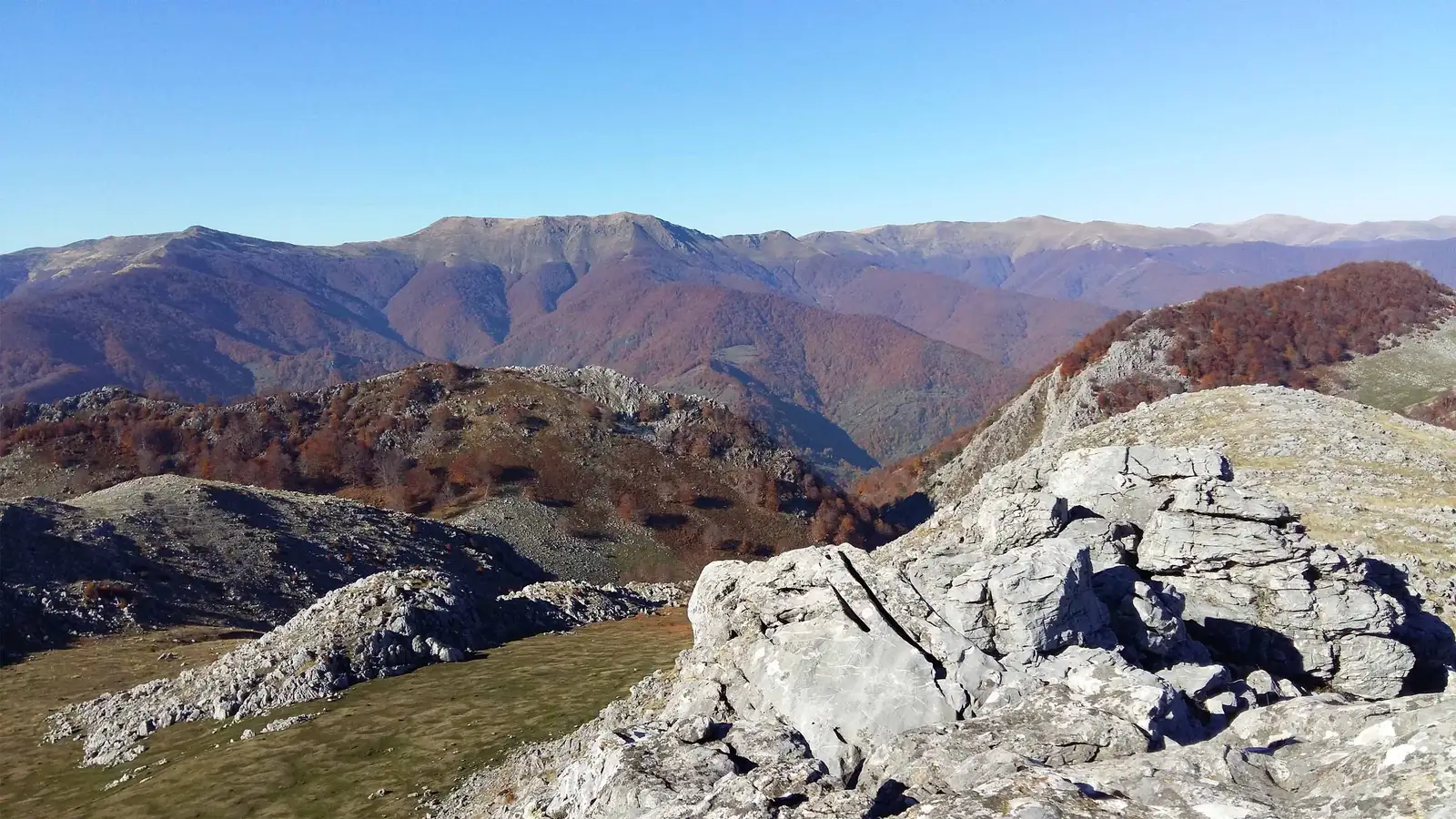 Poiana Ţăsnei - Șaua Arșasca