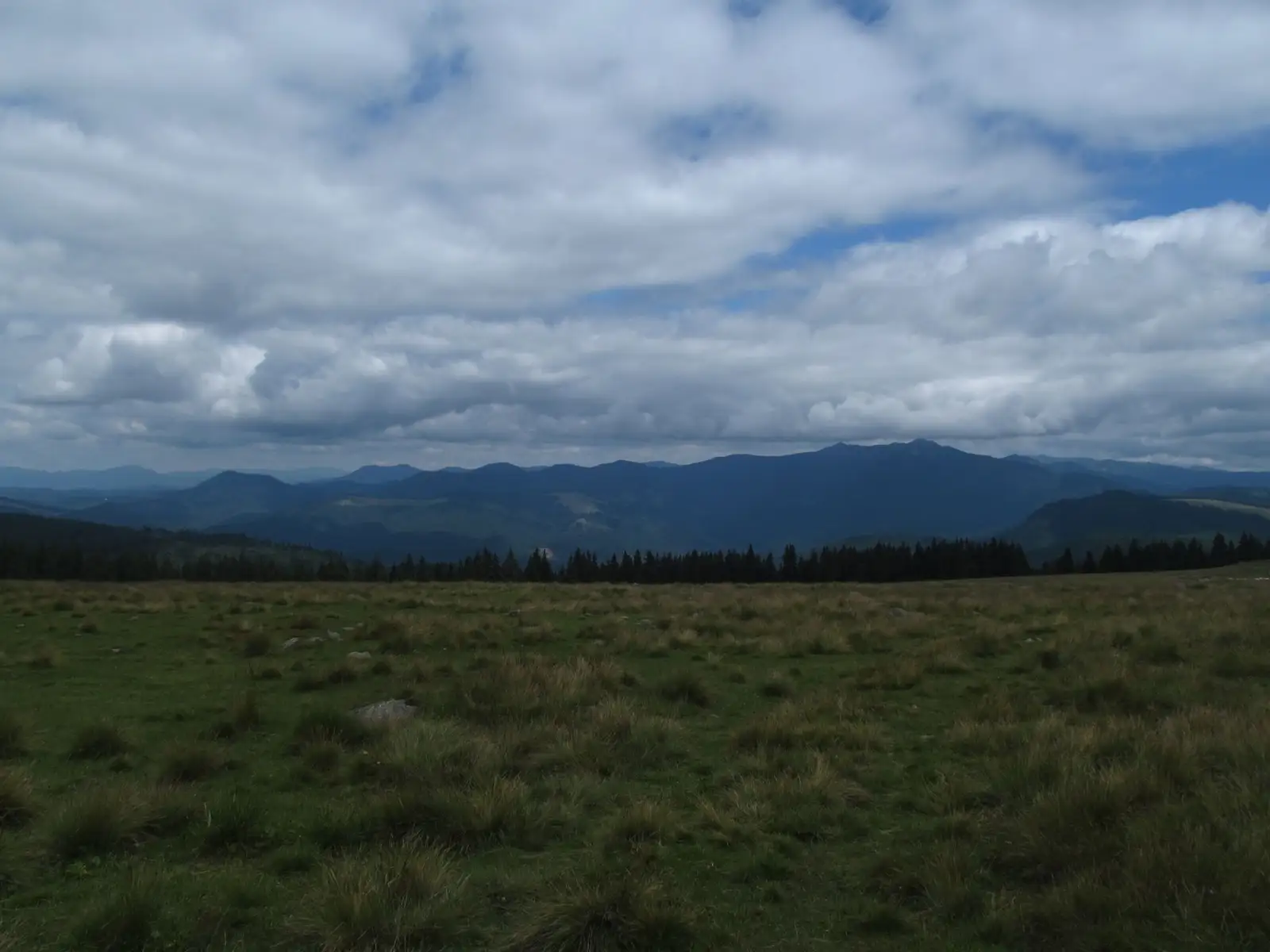 Valea Repedea - Poiana Cofu - Sat Colibiţa