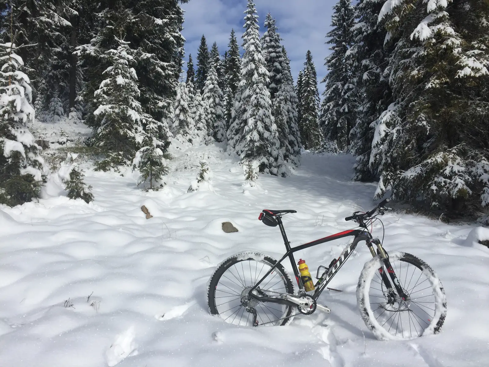 Gura Stegii - Fundul Stegii - Traseu BA/PR