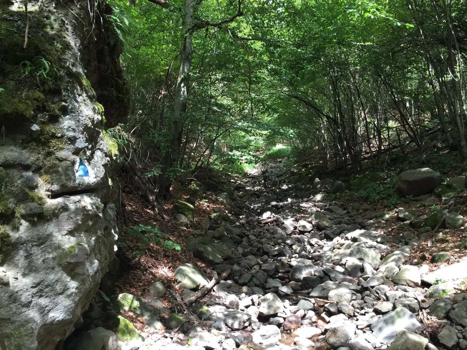 Valea Bistrei - Valea Zăpodia cu Cale - Şaua Scaunului (Zăpodia Ursului)