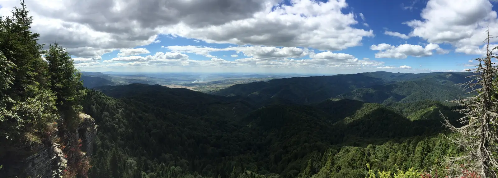 Gălăoaia - Poiana Plaiul Stegii - acces Vf. Scaunul - Valea Bistrei
