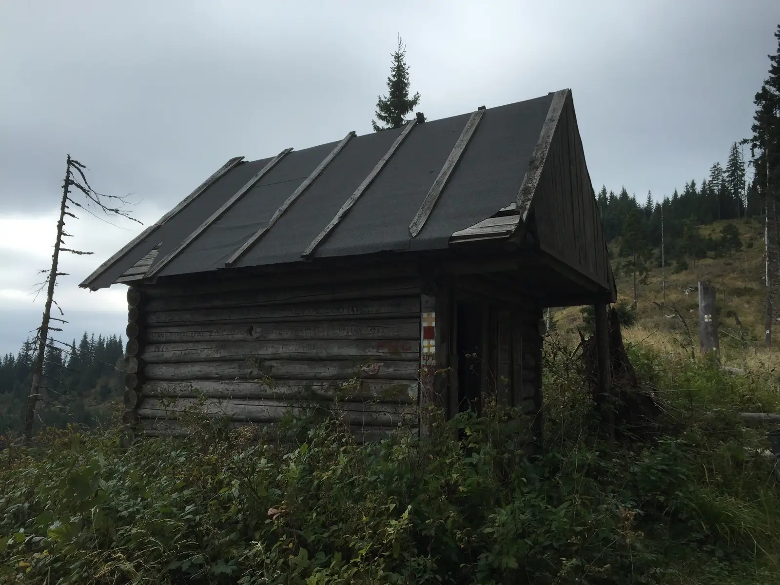 Lunca Bradului - Şaua Gruiu