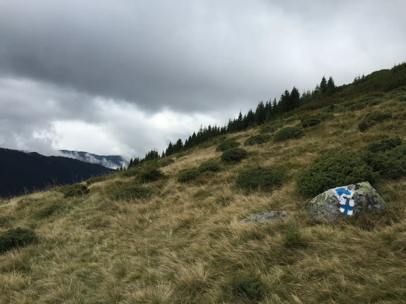 Lunca Bradului (DN15)-Şaua Negoiu