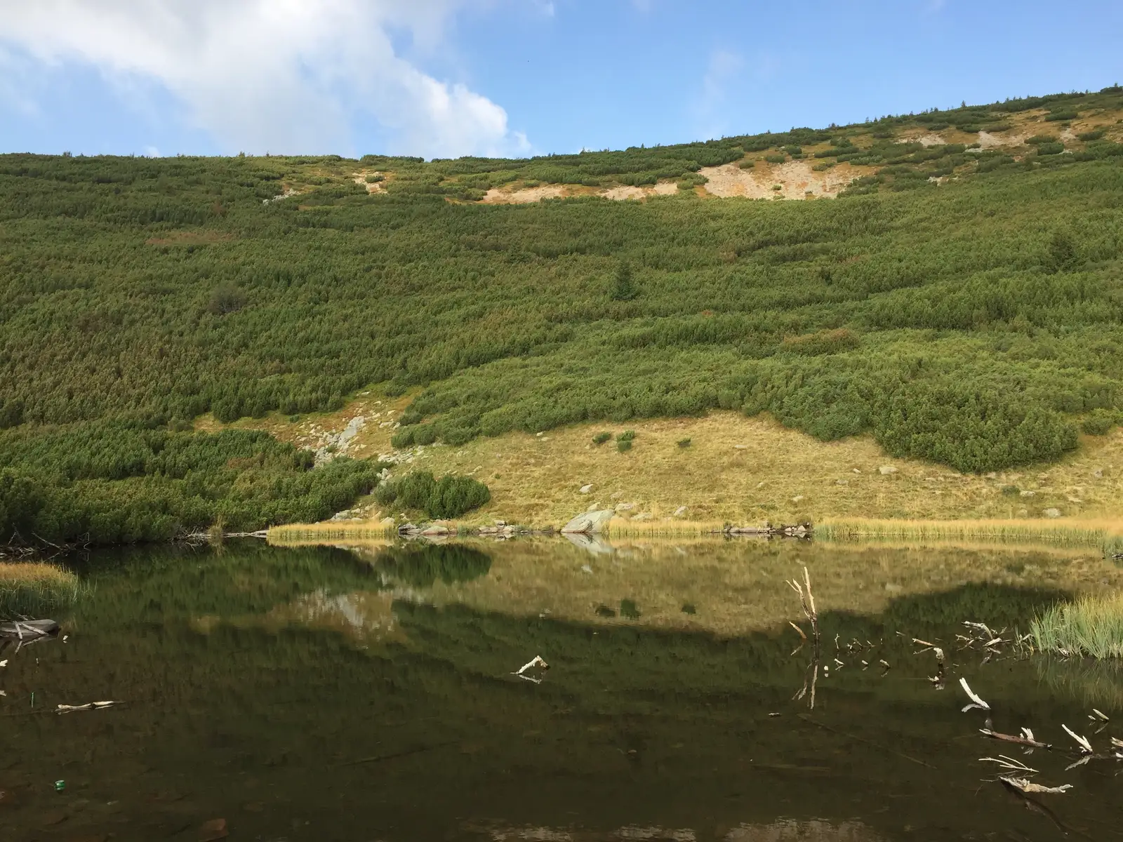 Gura Voivodesei - Poiana Puturosul - Lacul Iezer