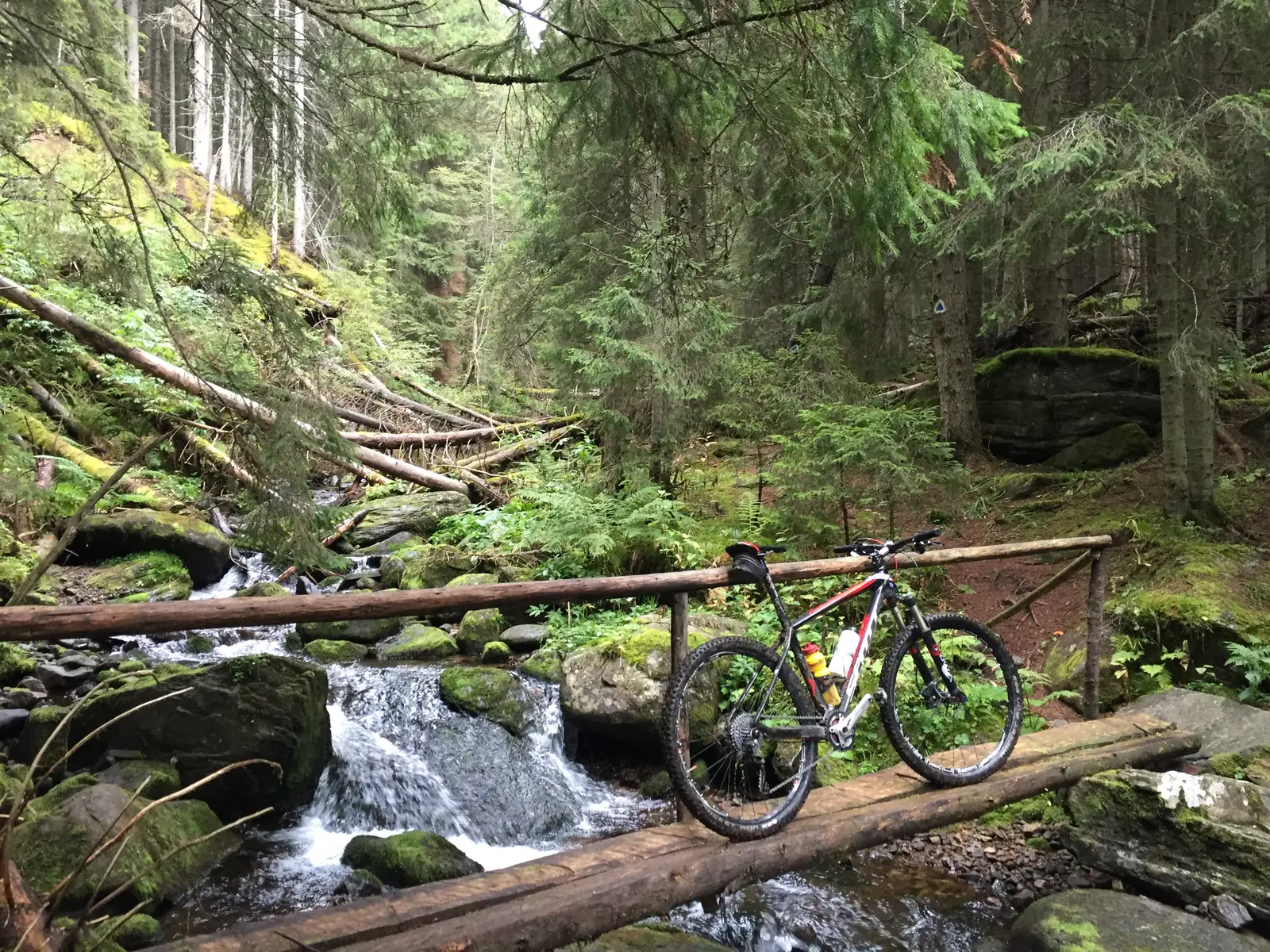 Poiana Puturosul - Gura Lomăşiţei - Vf. Răţiţiş