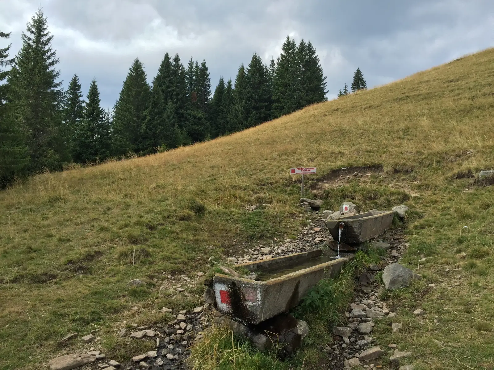 Gura Voievodesei - Izvorul Voievodesei - Şaua Voievodesei