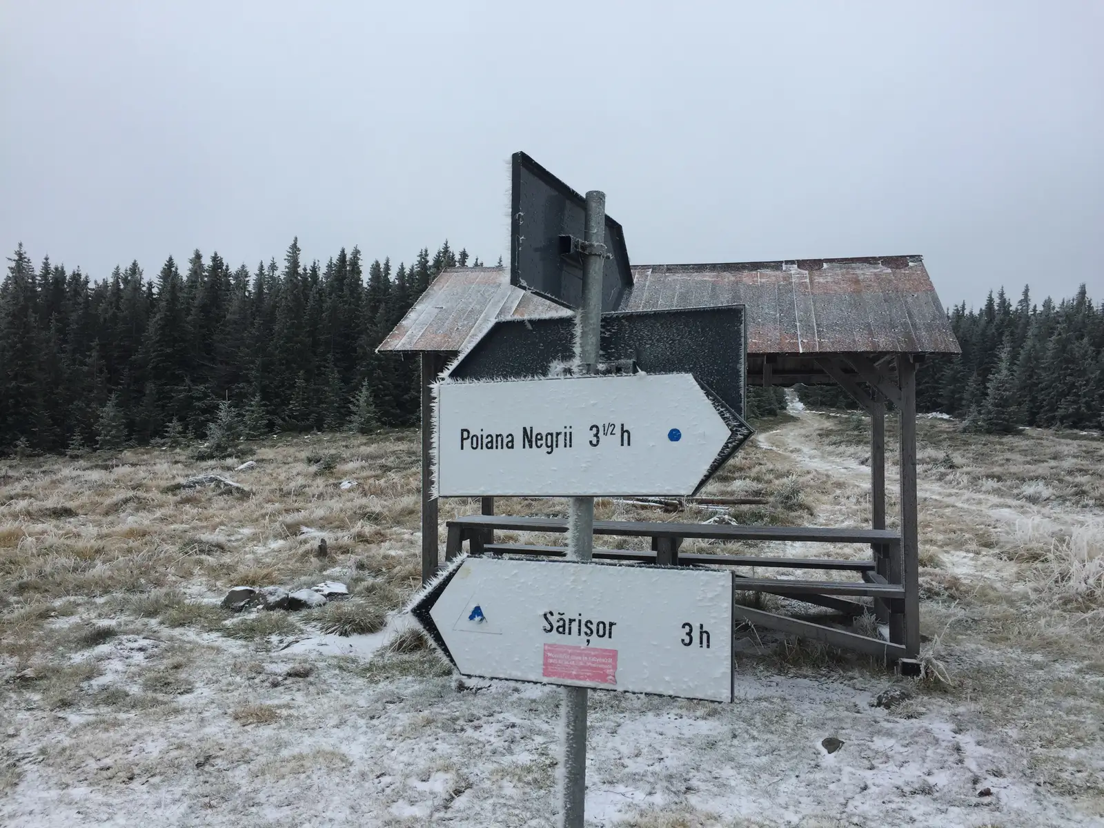 Neagra Şarului (DJ174F) - Sărişor - Schitul 12 Apostoli