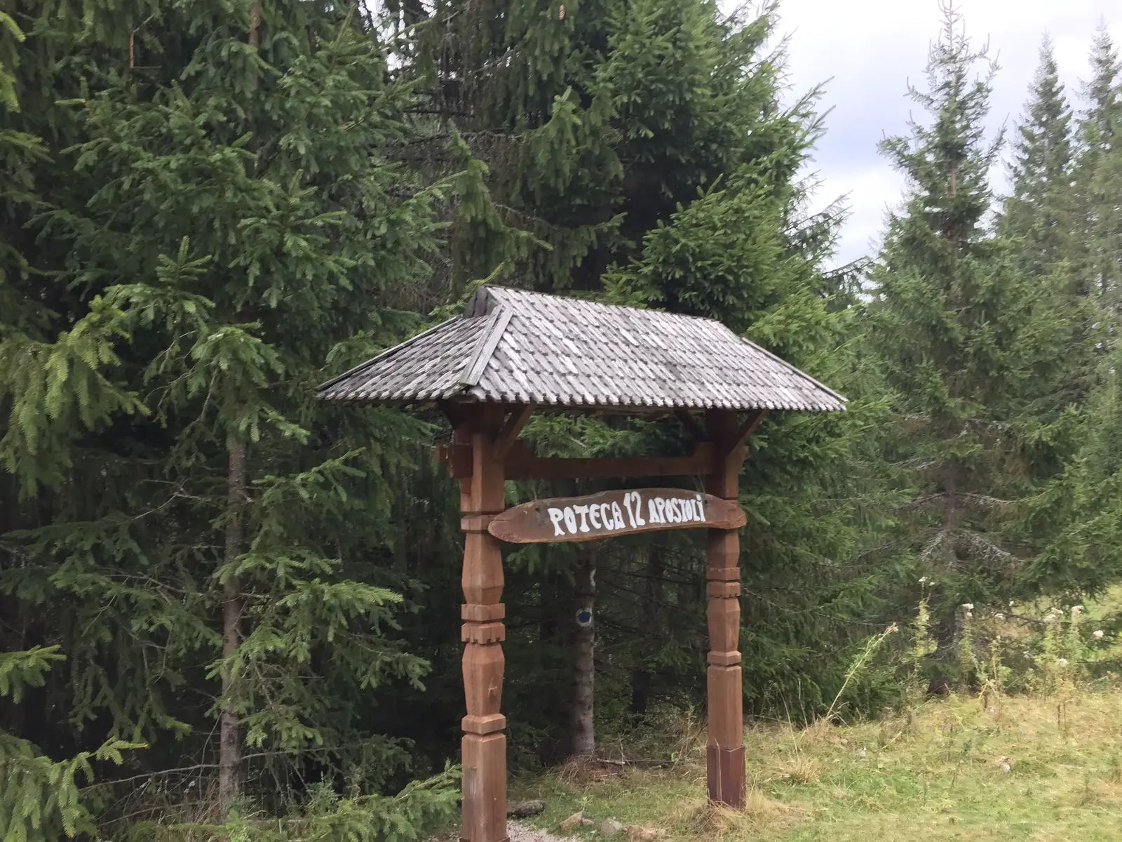 Gura Haitii - sub Vf. Tămău - Dornişoara