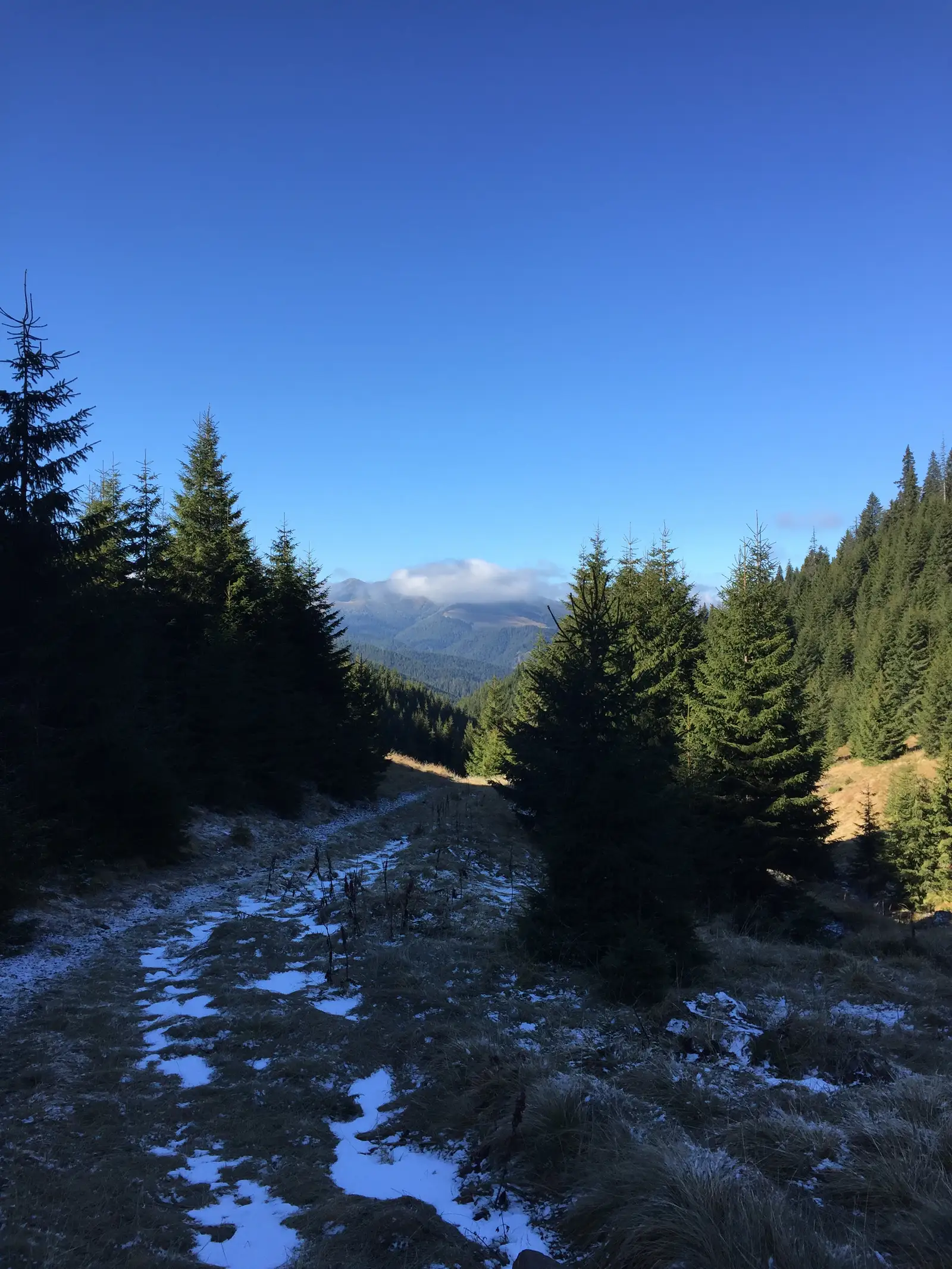 Dornişoara - Izvoarele Dornei - Poiana Izvoarele