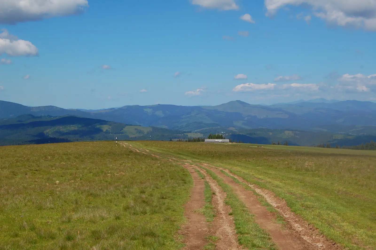 16MN04: Rusca - Cabana Giumalău - localitatea Valea Putnei