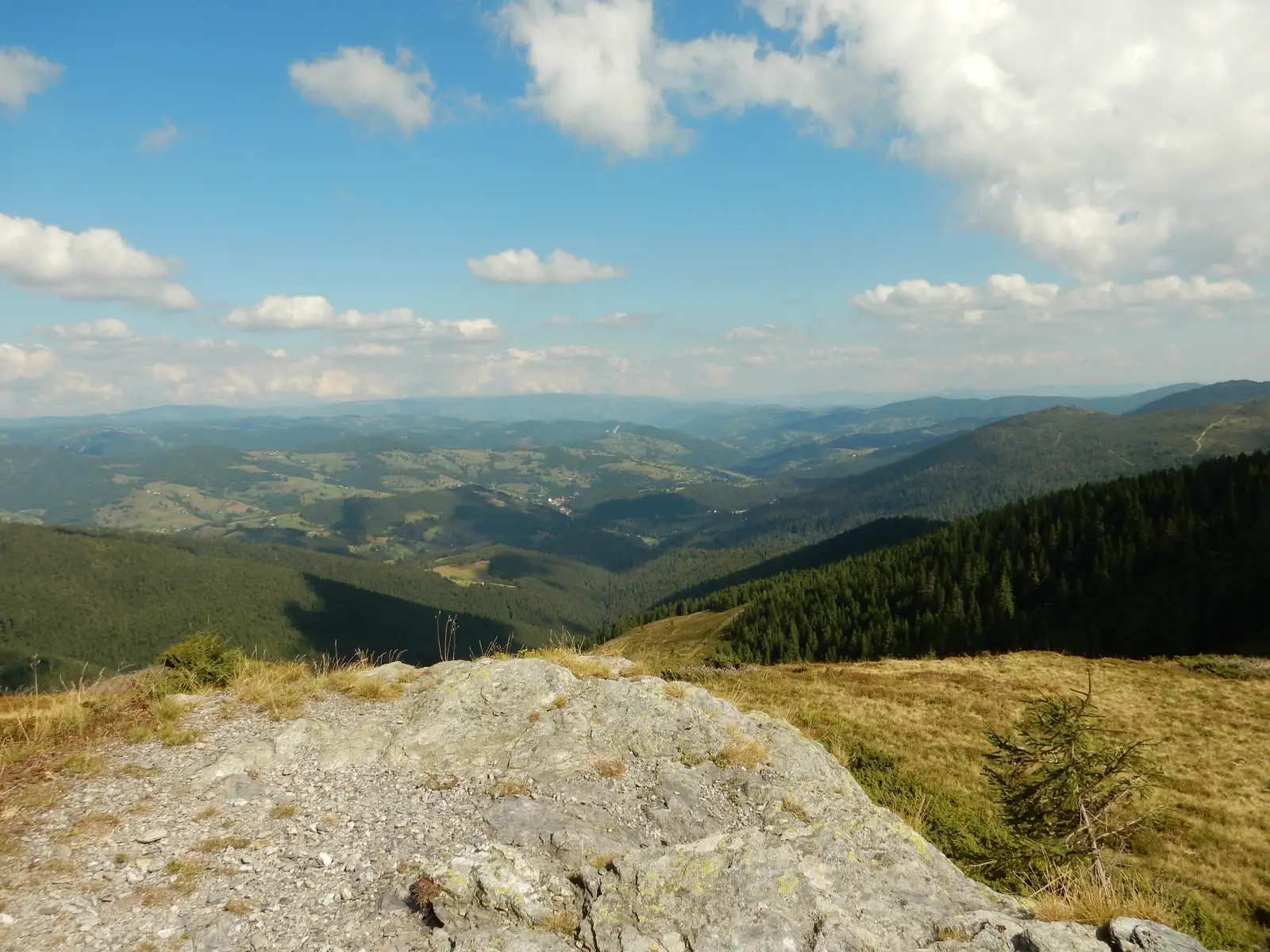 Şaua Vârtop - Muntele Găina Cruce