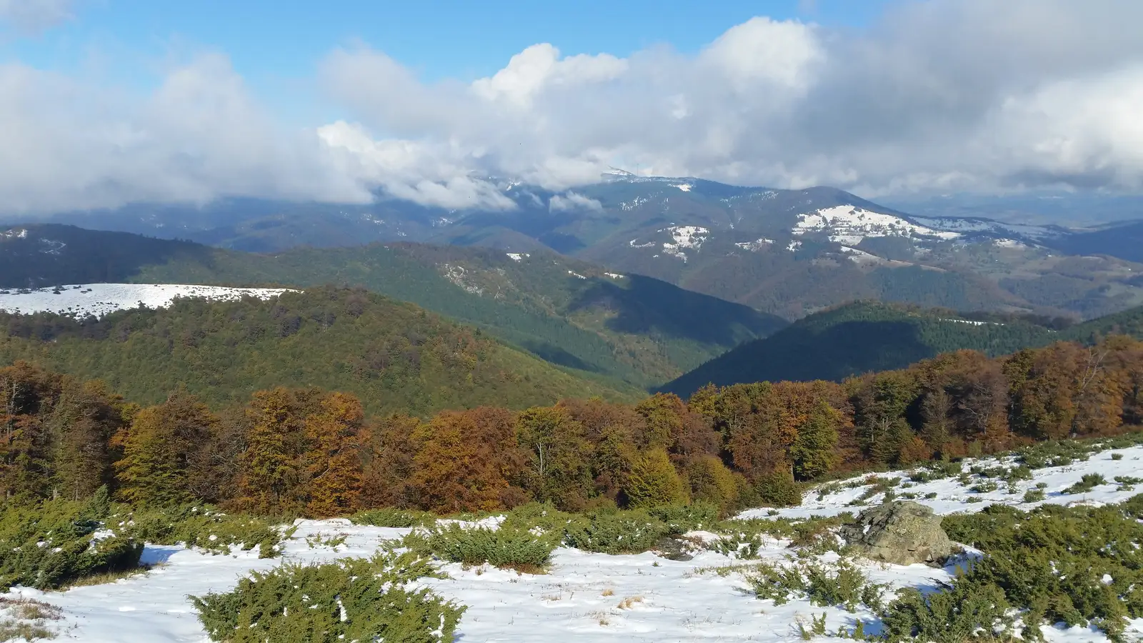 Şaua Vârtop - Muntele Găina Cruce
