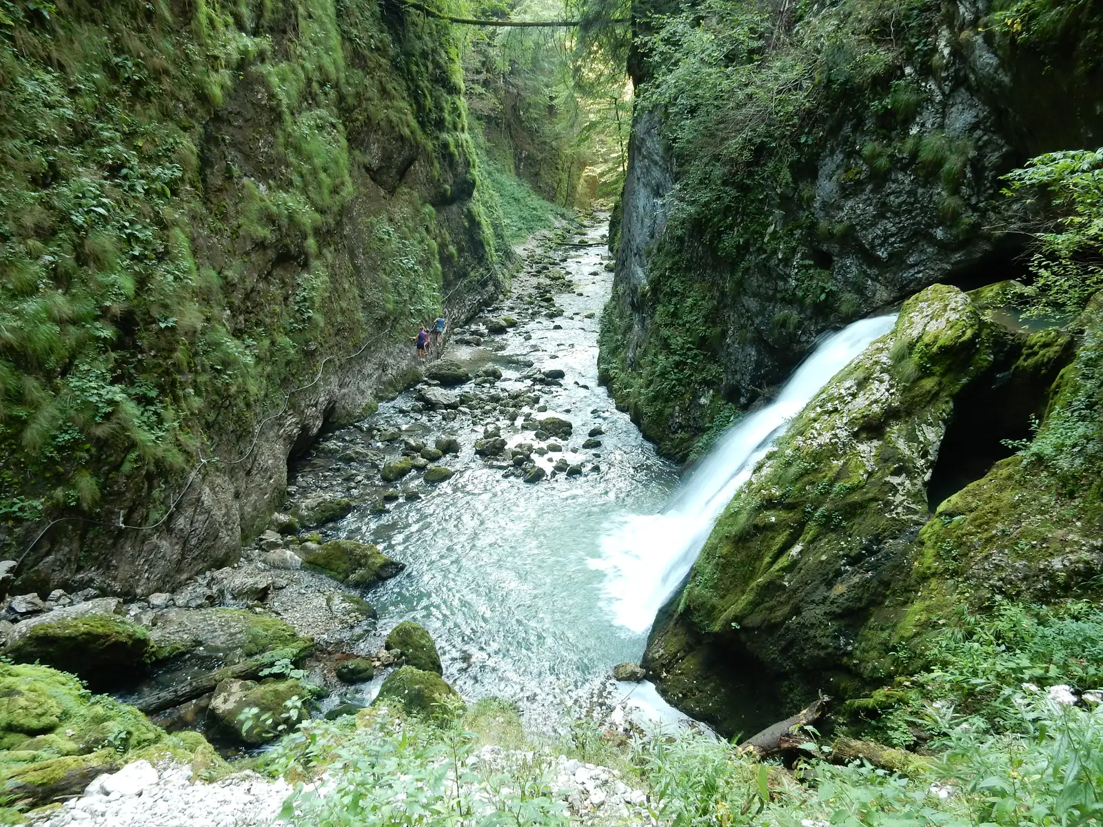 Vartop-Cheile Galbenei-Avenul Bortig-Cetatile Ponorului-Pestera Caput-Saua Ponita-Vartop