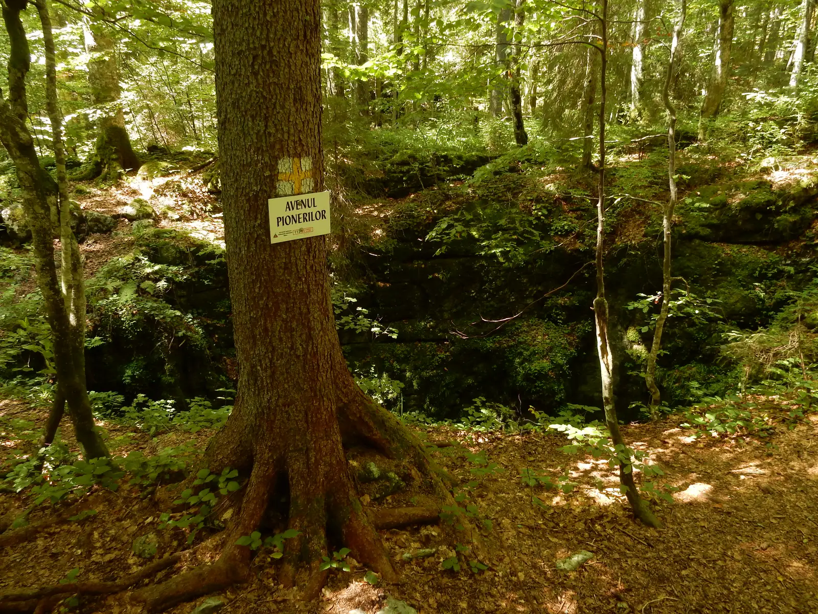 Padiş - Platoul Carstic Lumea Pierdută