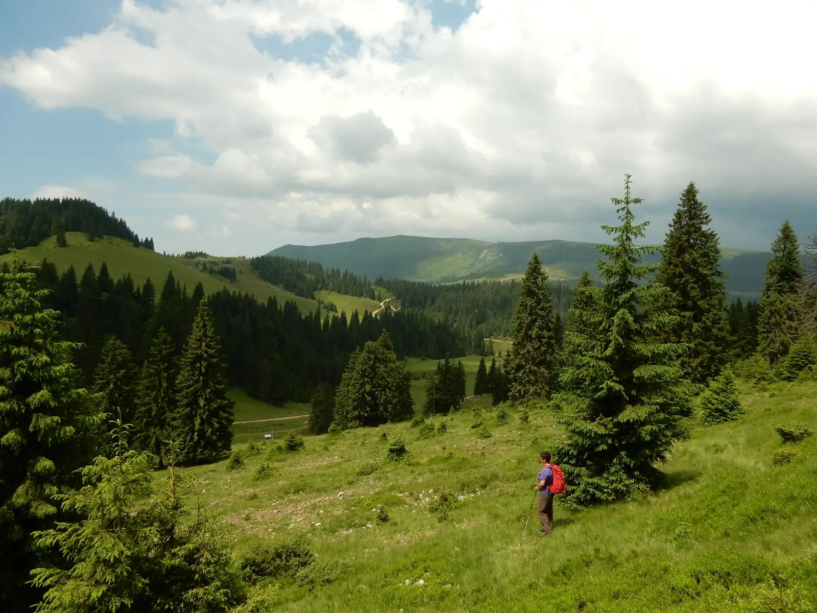 Padiş - Măgura Vânătă - Şaua Vărăşoaia
