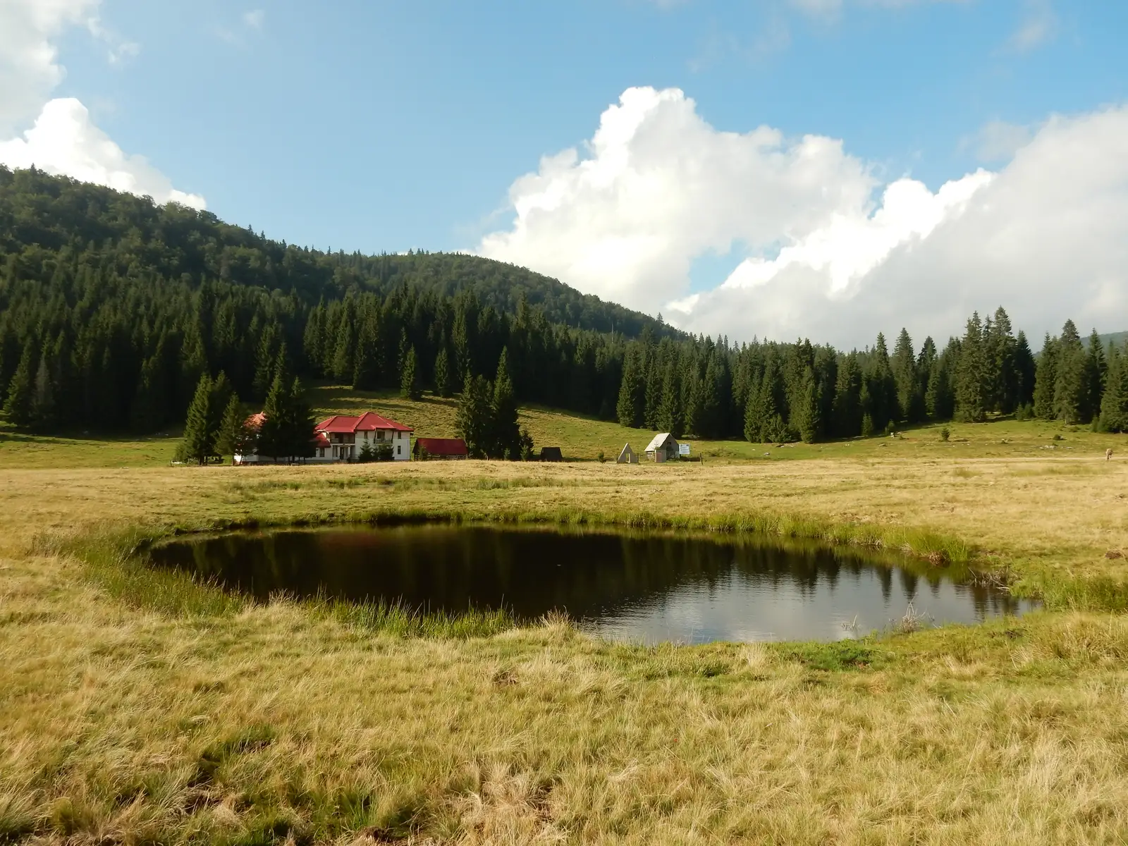 Şesul Padiş - Peştera Şura Boghii
