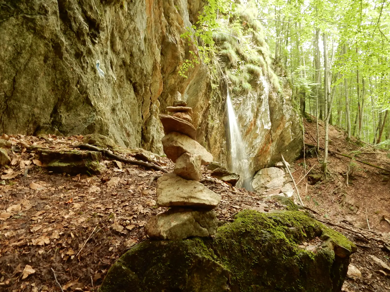 Traseul de vizitare Cascada Bulbuci