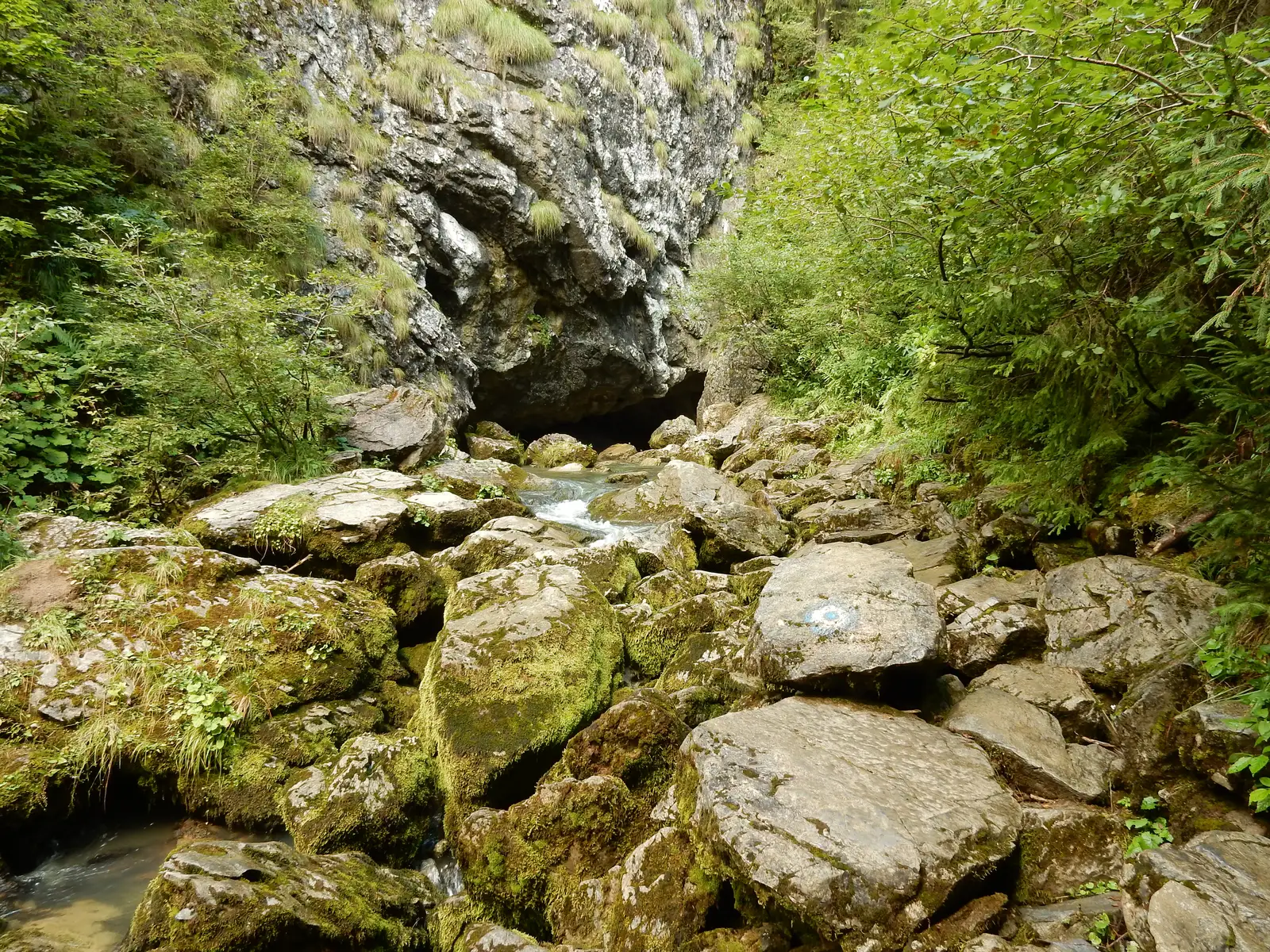 Traseul de vizitare Izbucul Ponor