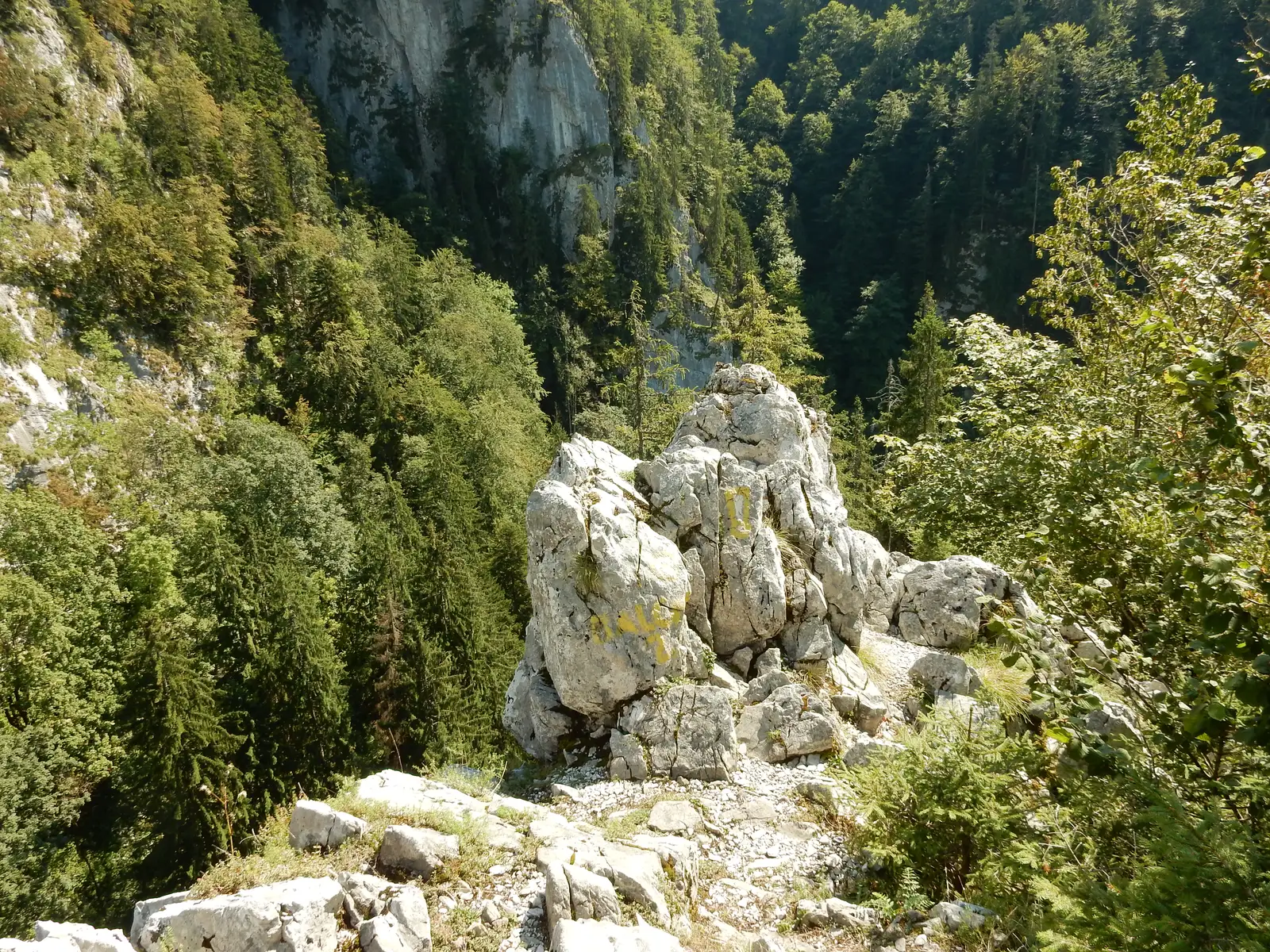 Poiana Florilor - Belvedere Cheile Galbenei