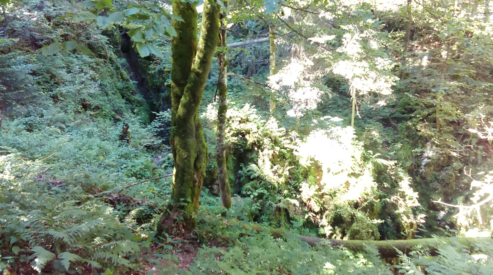 Avenul Borţig - Pietrele Galbenei