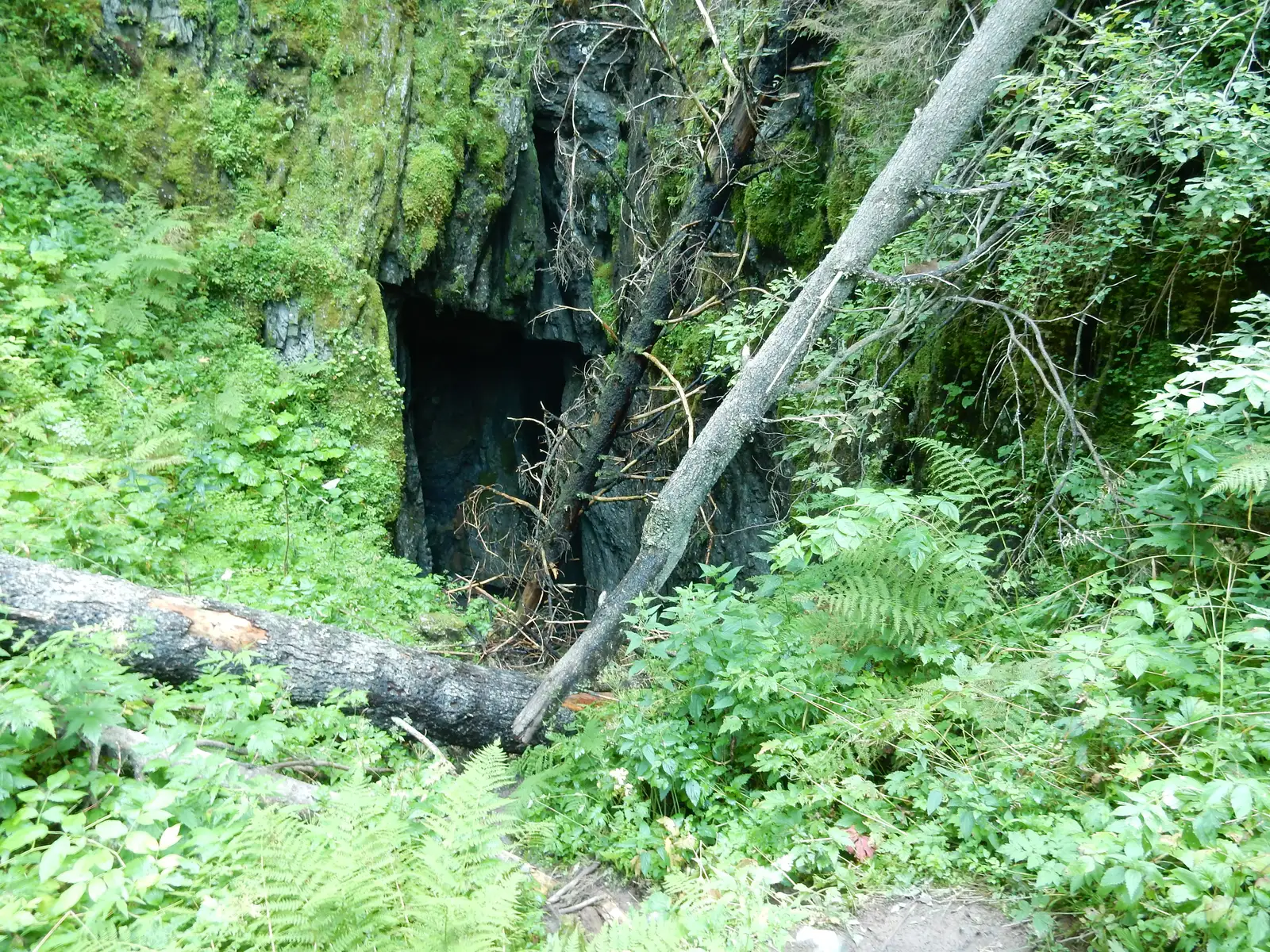 Traseul de vizitare Peştera Zăpodie