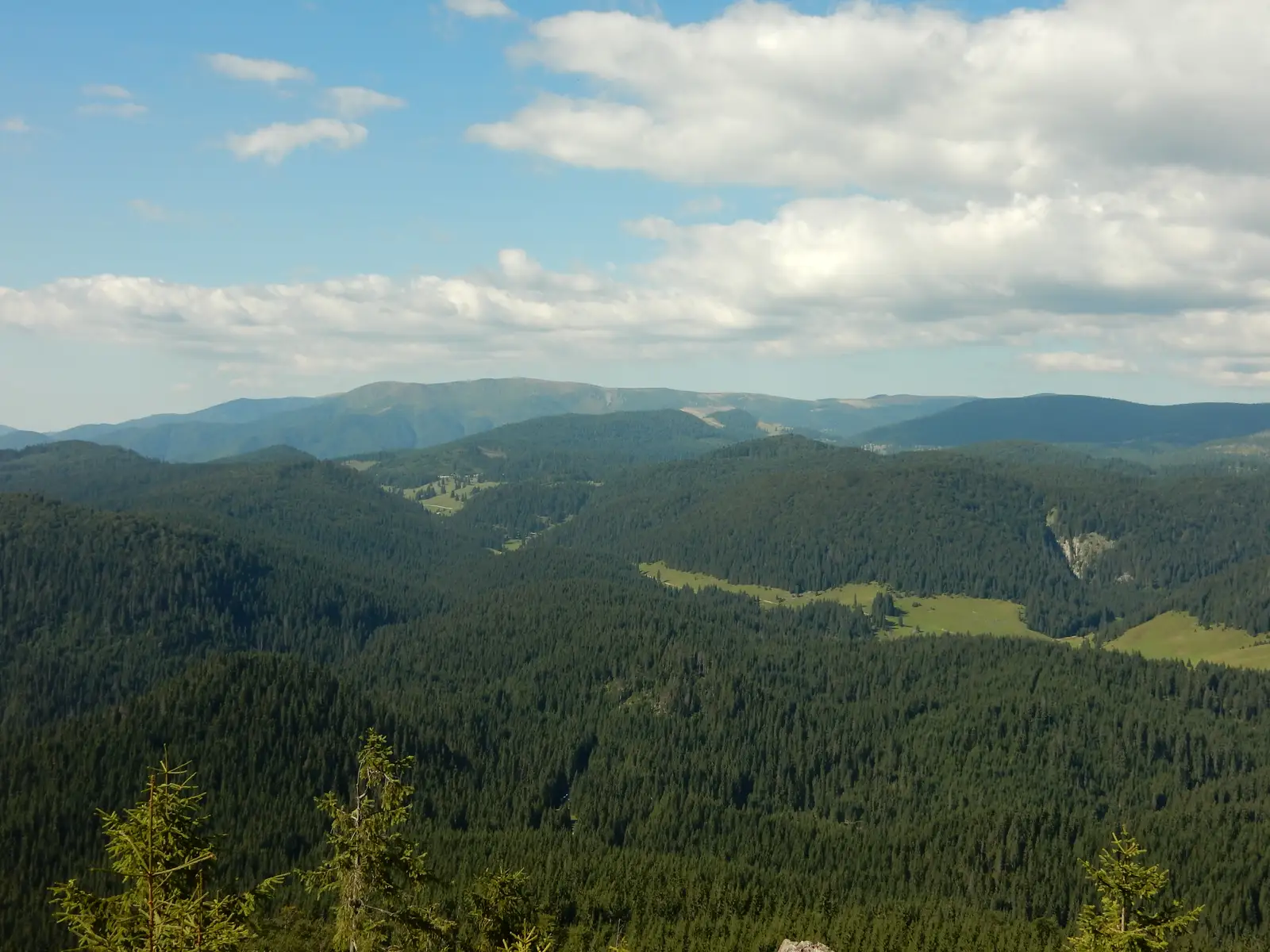 Traseul de urcare pe Muntele Glăvoaia