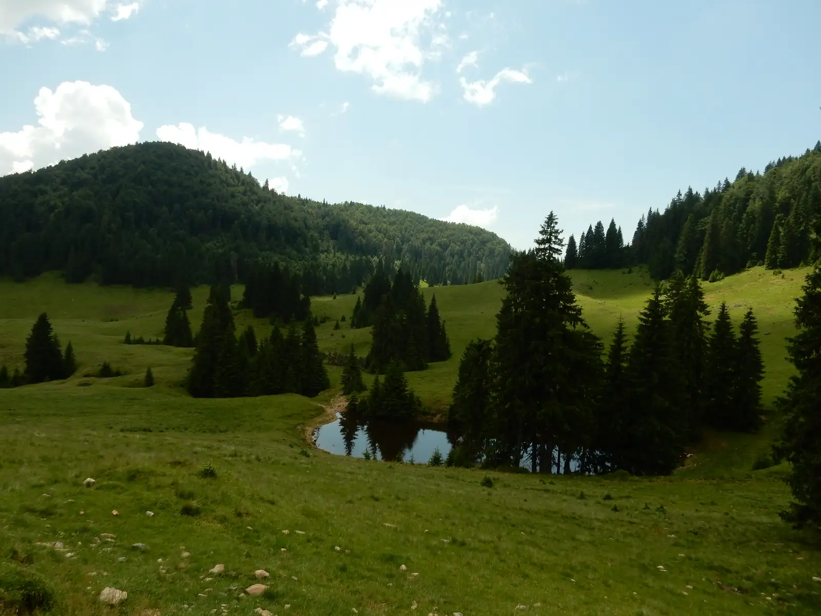 Circuitul Cetăţilor Rădesei