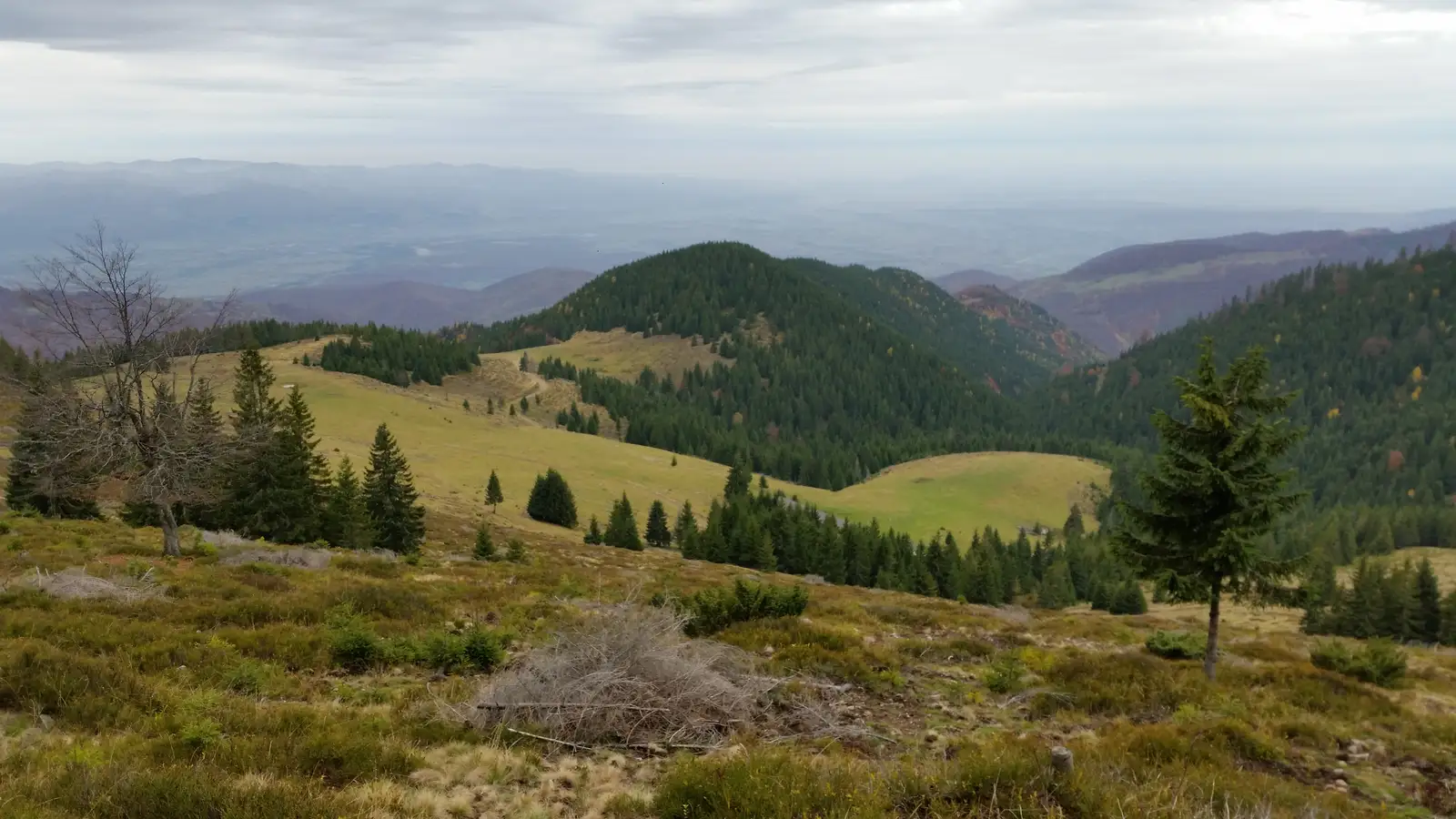 oraş Ştei - Şaua Vârtop
