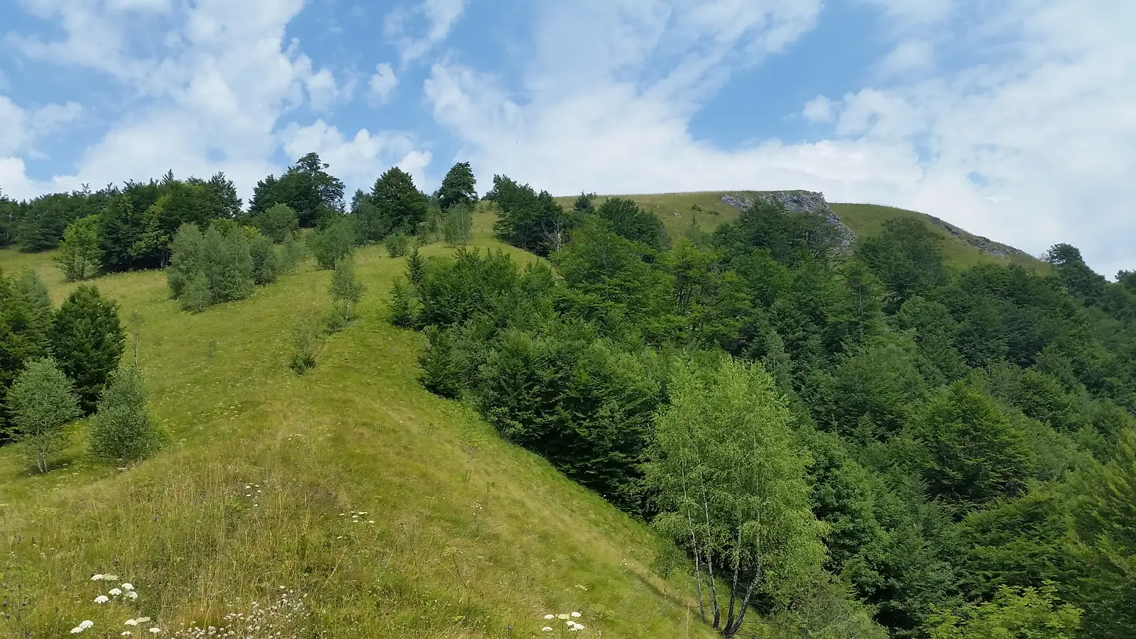 oraş Ştei - Groapa Ruginoasă - Şaua Vârtop