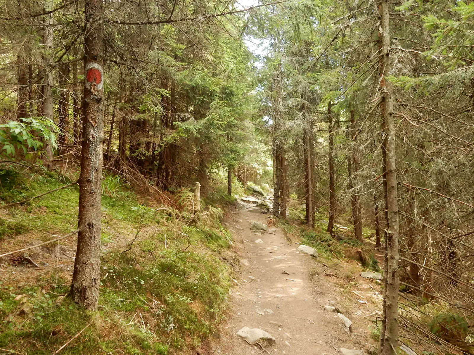 Partia Vârtop 1 - intersecţie cu traseul BR