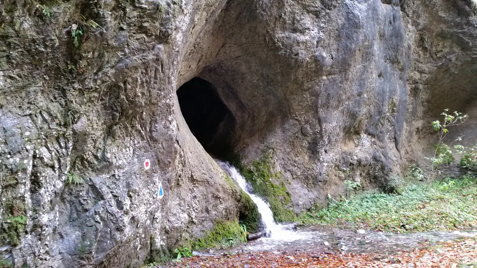 sat Câmpani (DN75) - Valea Sighiştel - DN75