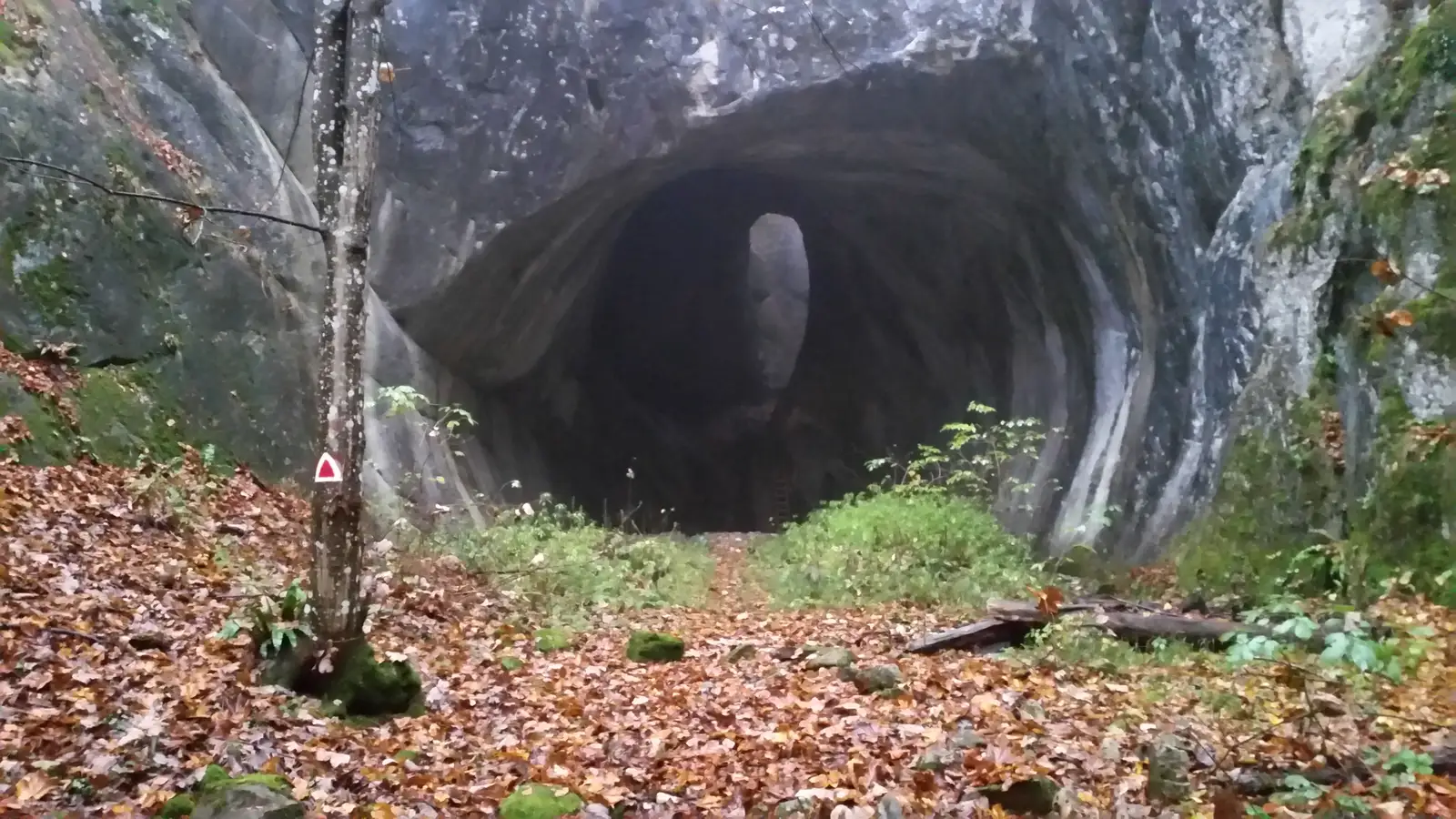 DN 75 - Peştera Porţile Bihorului