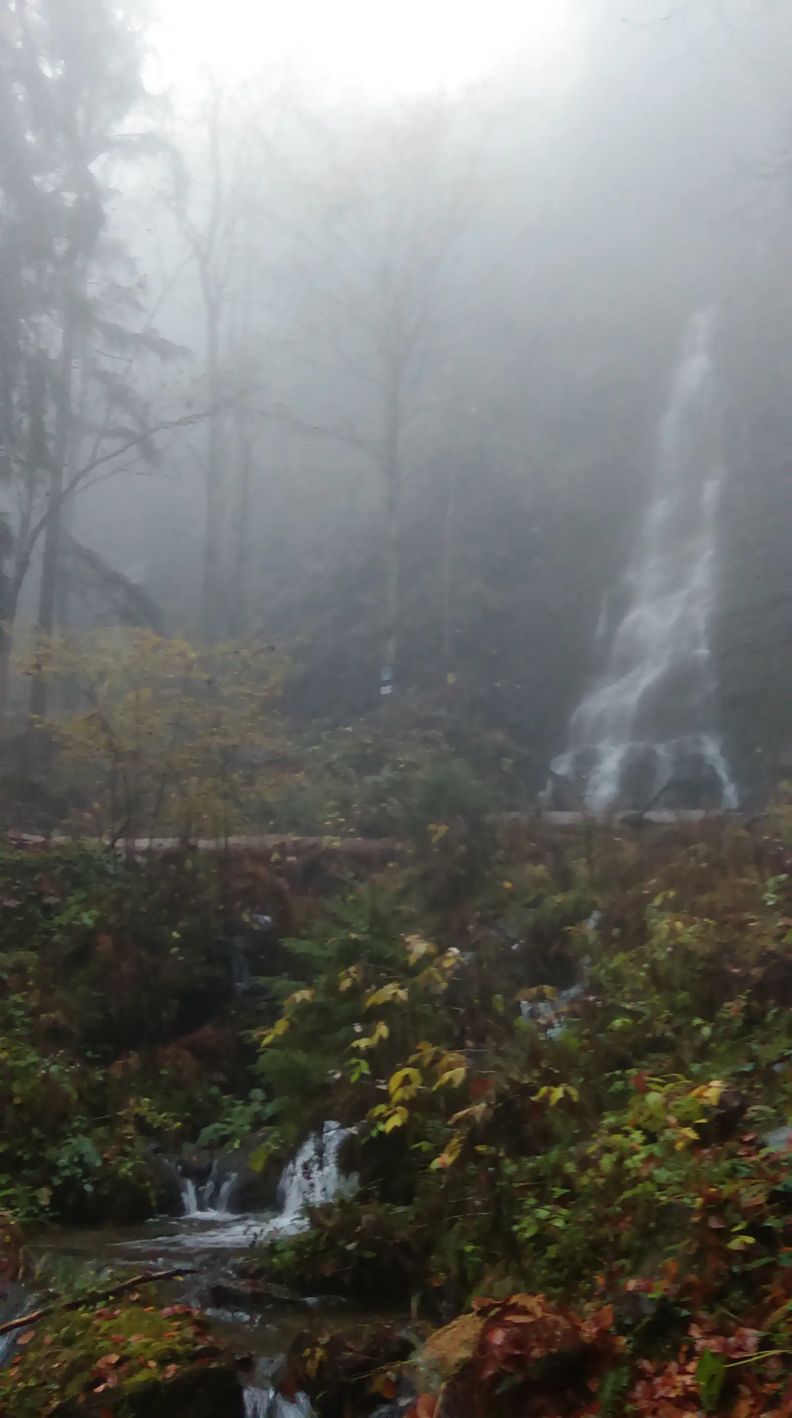 Dealul Căsoaiei - belvedere Cascada Sf. Treime