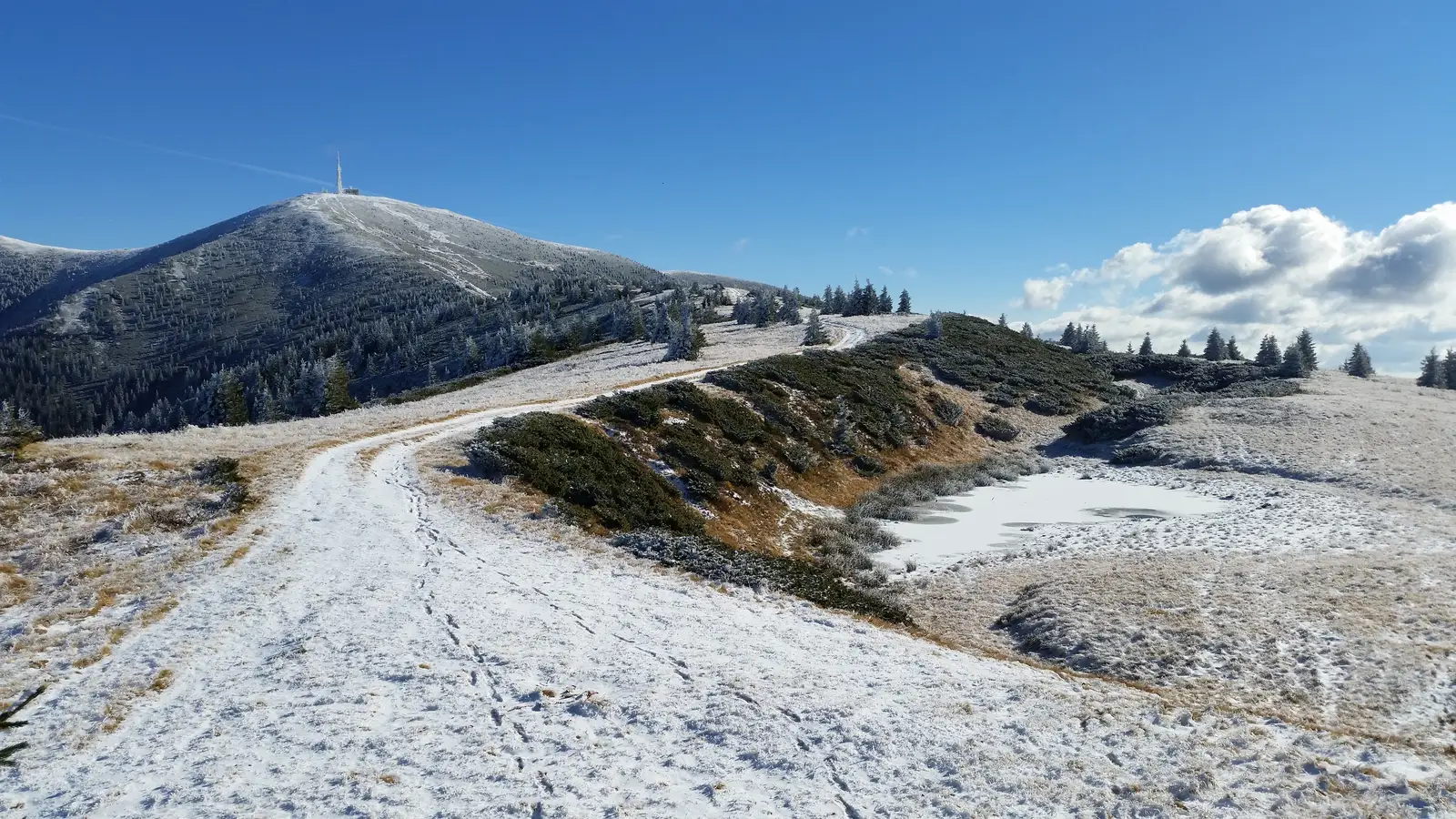 Pasul Criştior (Şaua Criştiorului) - Poiana La Răscruce - Vf. Cucurbăta Mare (Vf. Bihor)