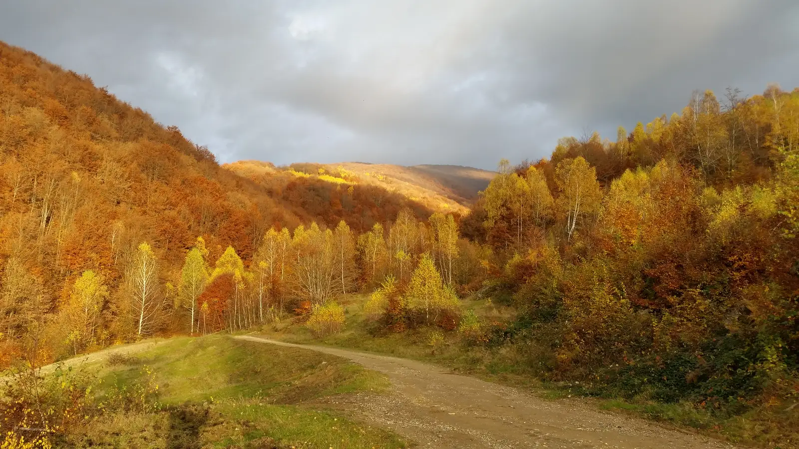 sat Poiana - Poiana La Răscruce