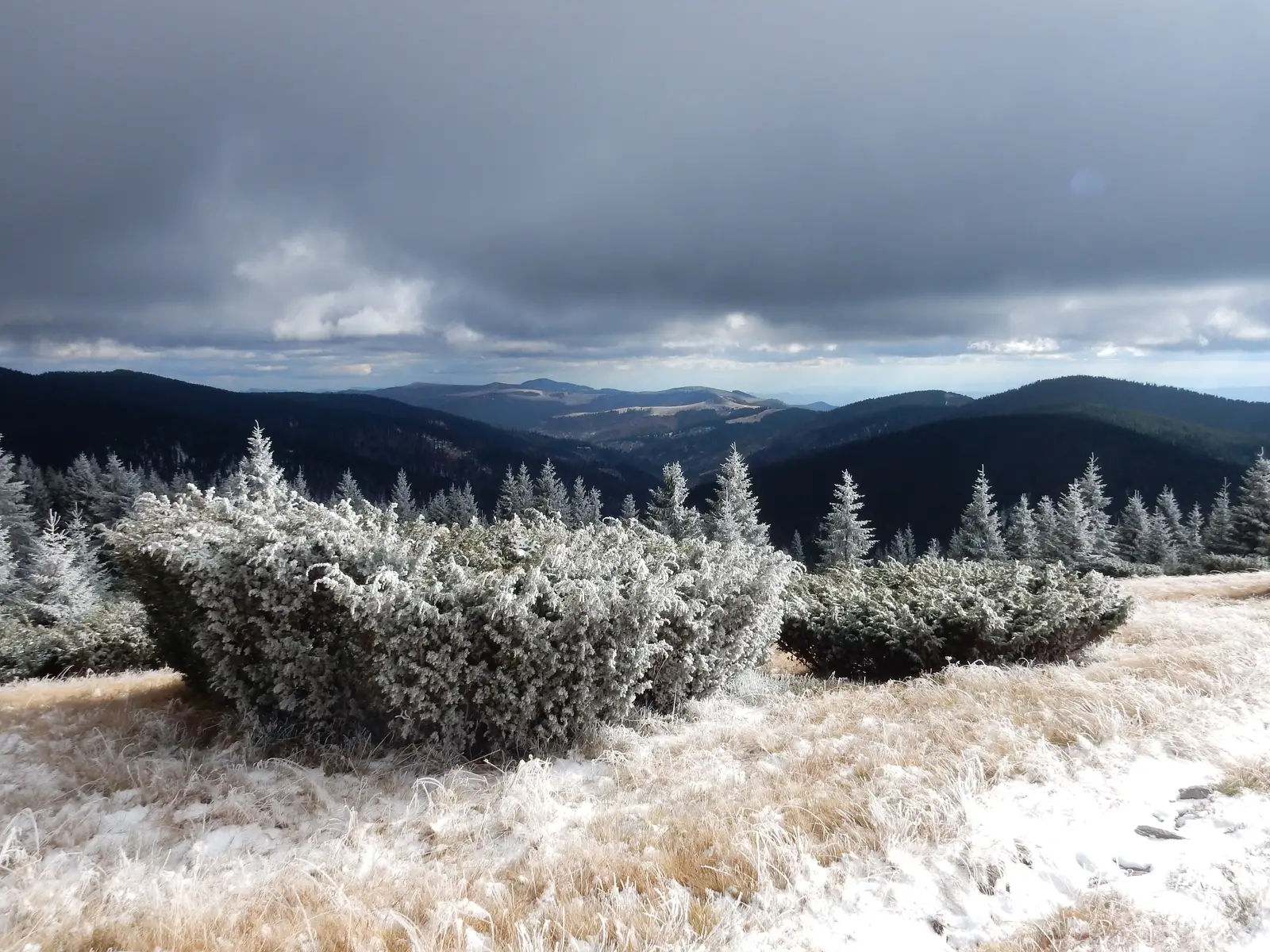 Valea Leucii - La Transformator (sub Cucurbăta Mare)