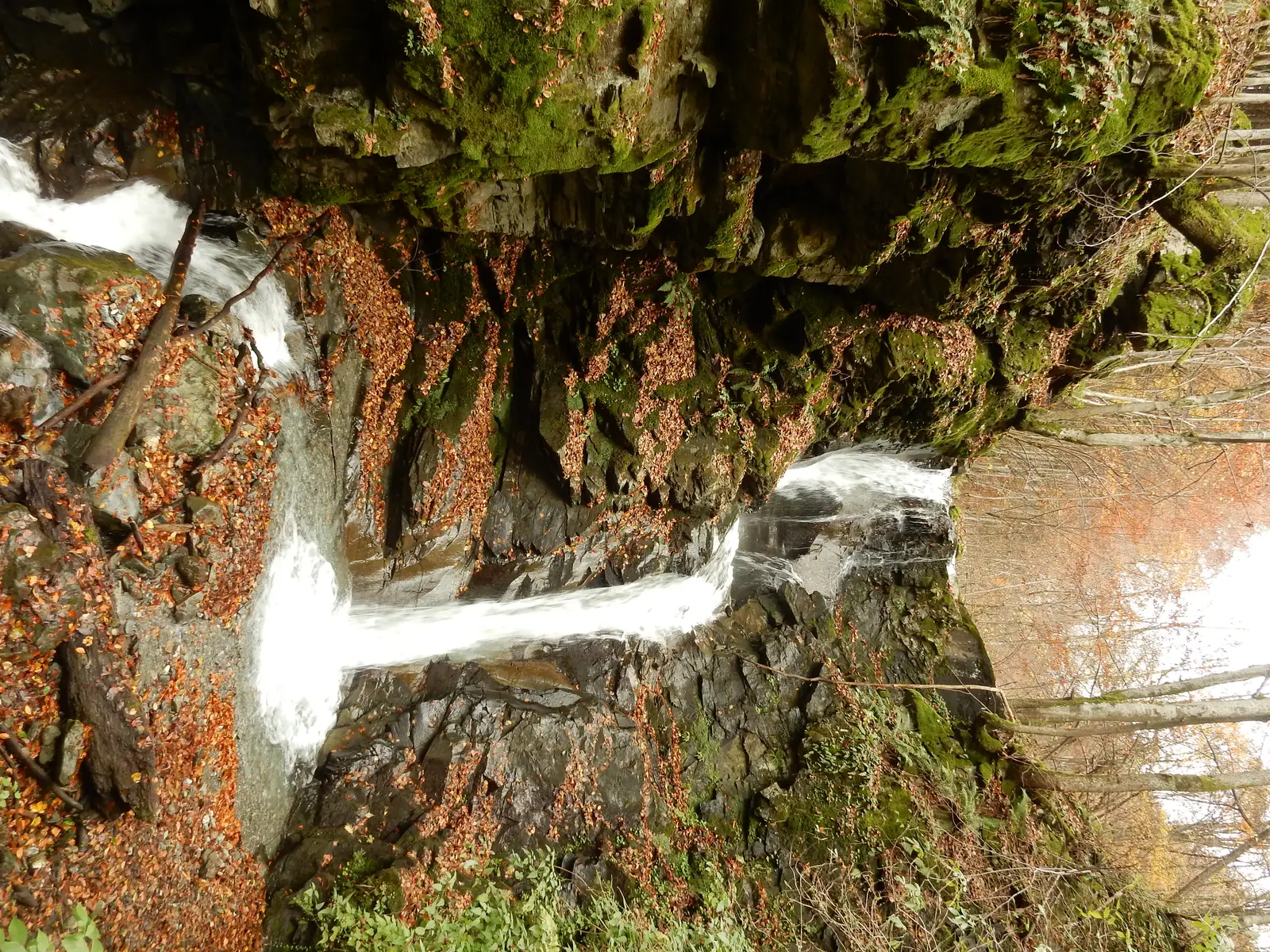 Valea Leucii - Cascada Dibarţ