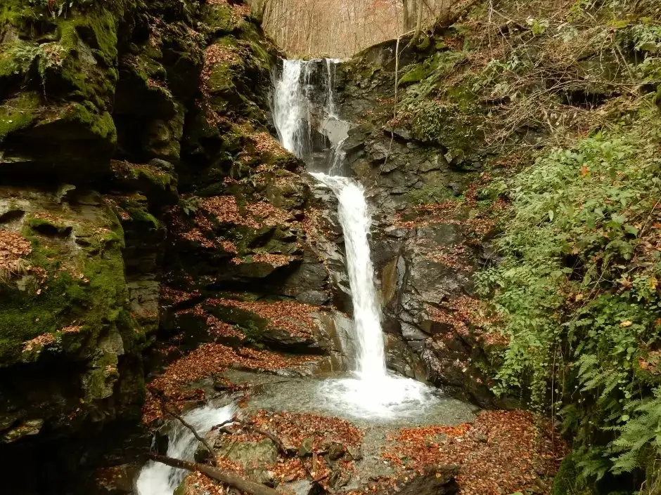 Valea Leucii - Cascada Dibarţ - Cimitirul de Vagonete