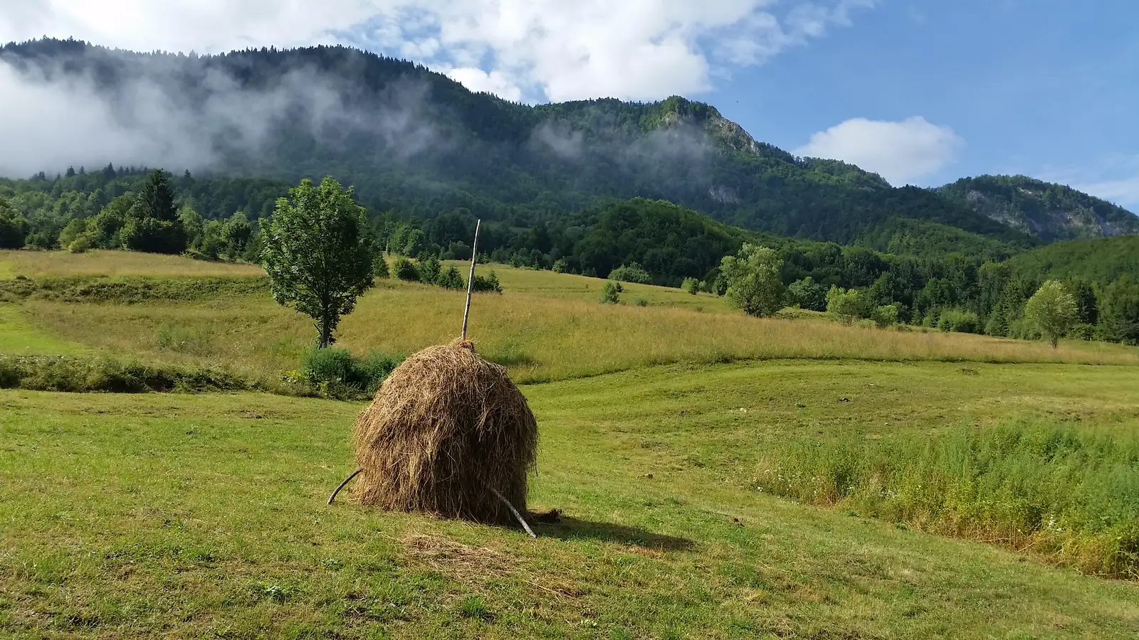 Circuitul Cascadei Pişoaia Vidrei