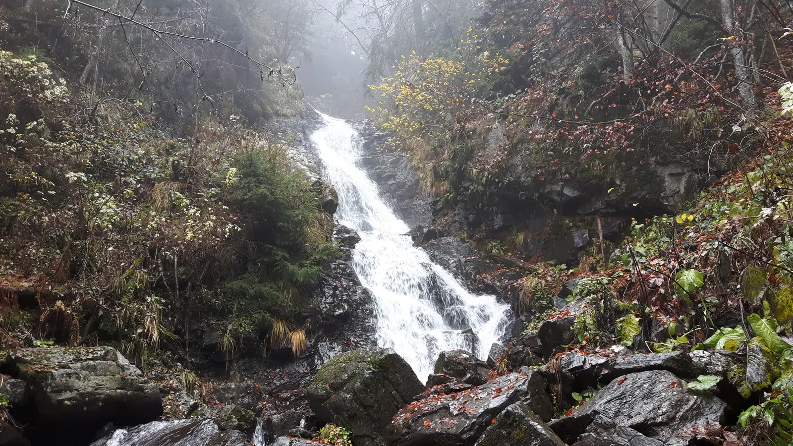 Valea Arieşul Mare - Cascada Pătrăhăiţeşti - sat Arieşeni