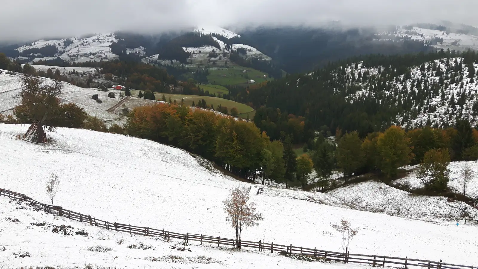 sat Arieşeni - Şaua Poniţa - Pietroasa