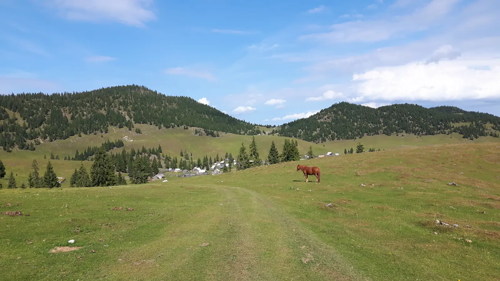 sat Gârda de Sus - Poiana Stânişoarei - Poiana Călineasa - Şaua Vărăşoaia
