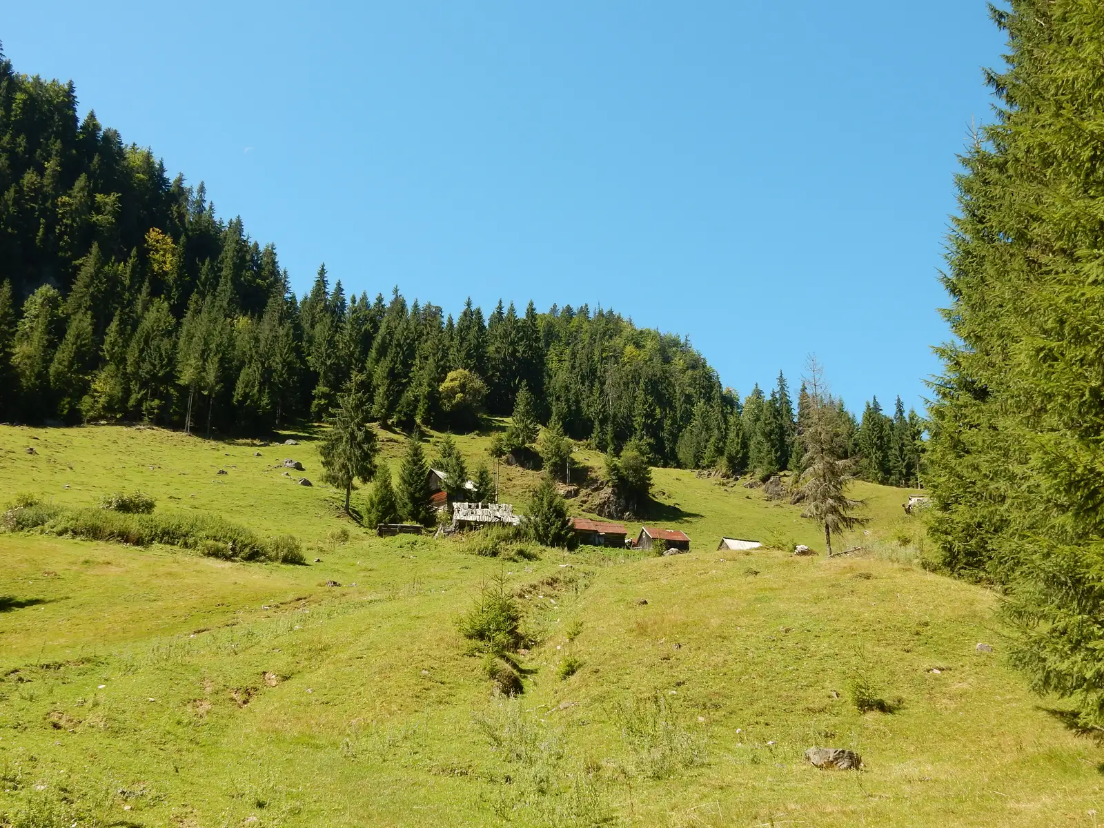 sat Casa de Piatră - Cabana Cetăţile Ponorului - Poiana La Grajduri (Glăvoi)