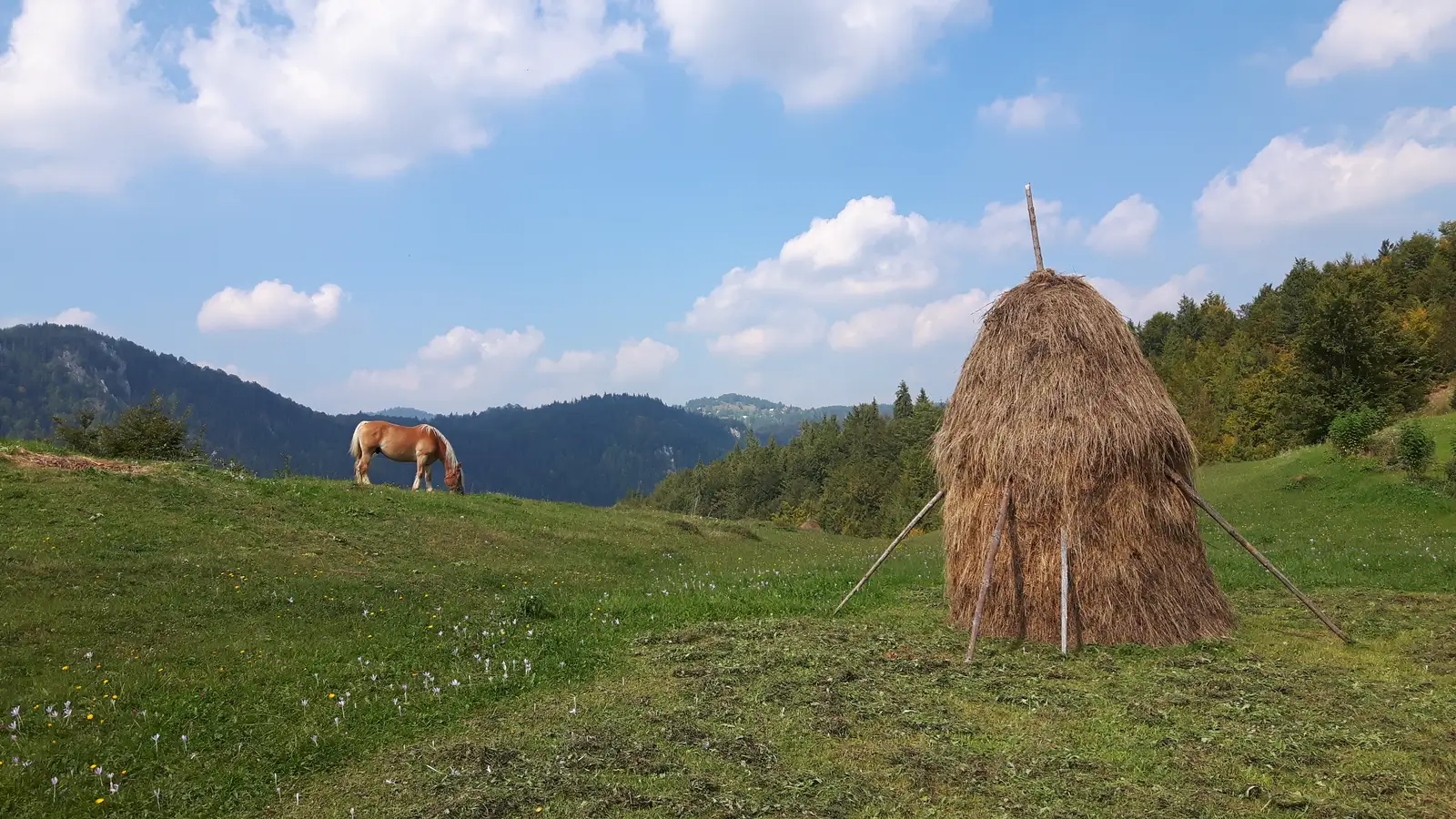sat Gârda de Sus (centru) - belvedere La Piatră - sat Gârda de Sus