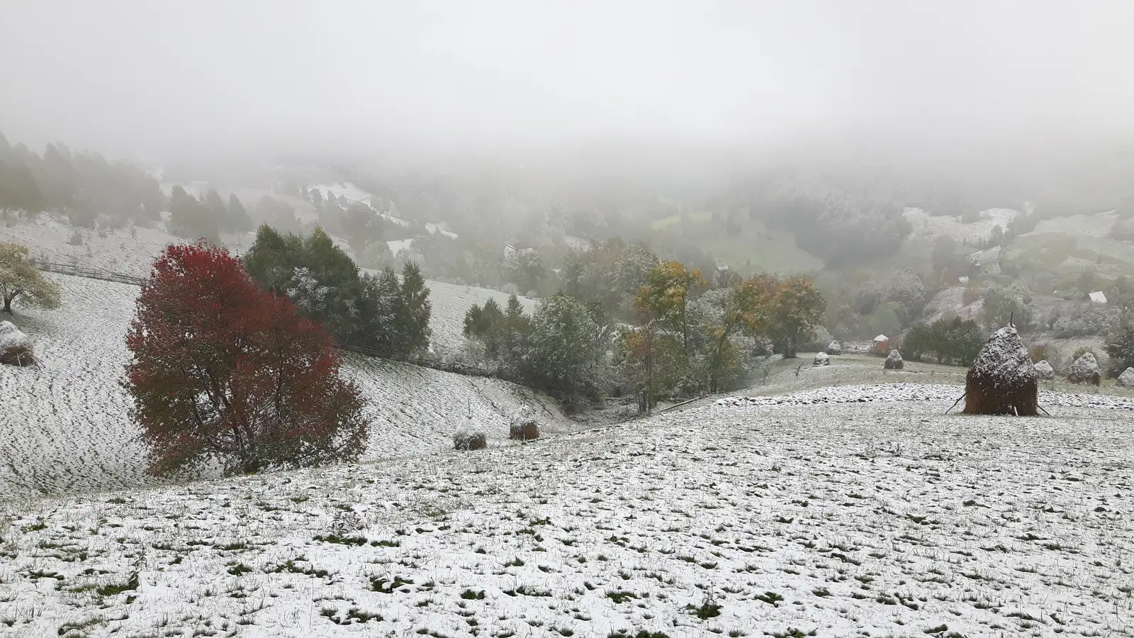 sat Albac - sat Roşeşti - sat Horea